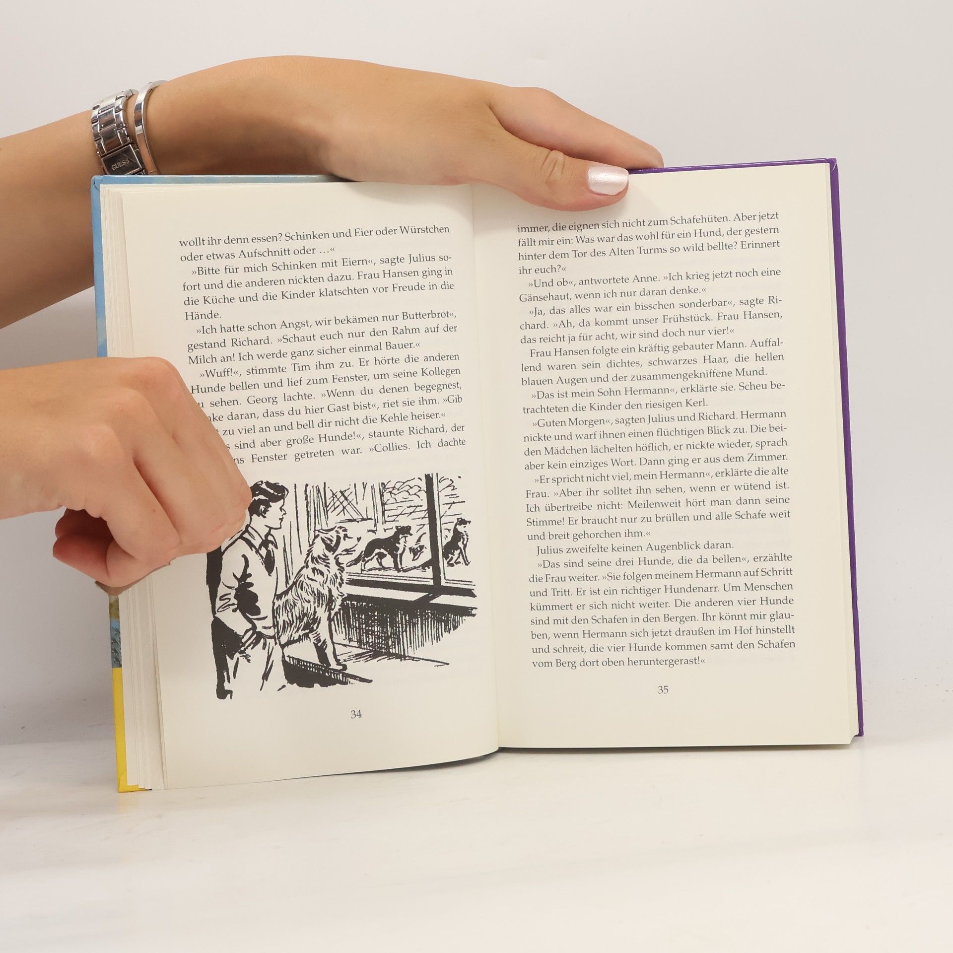 Enid Blyton Fünf Freunde im Alten Turm