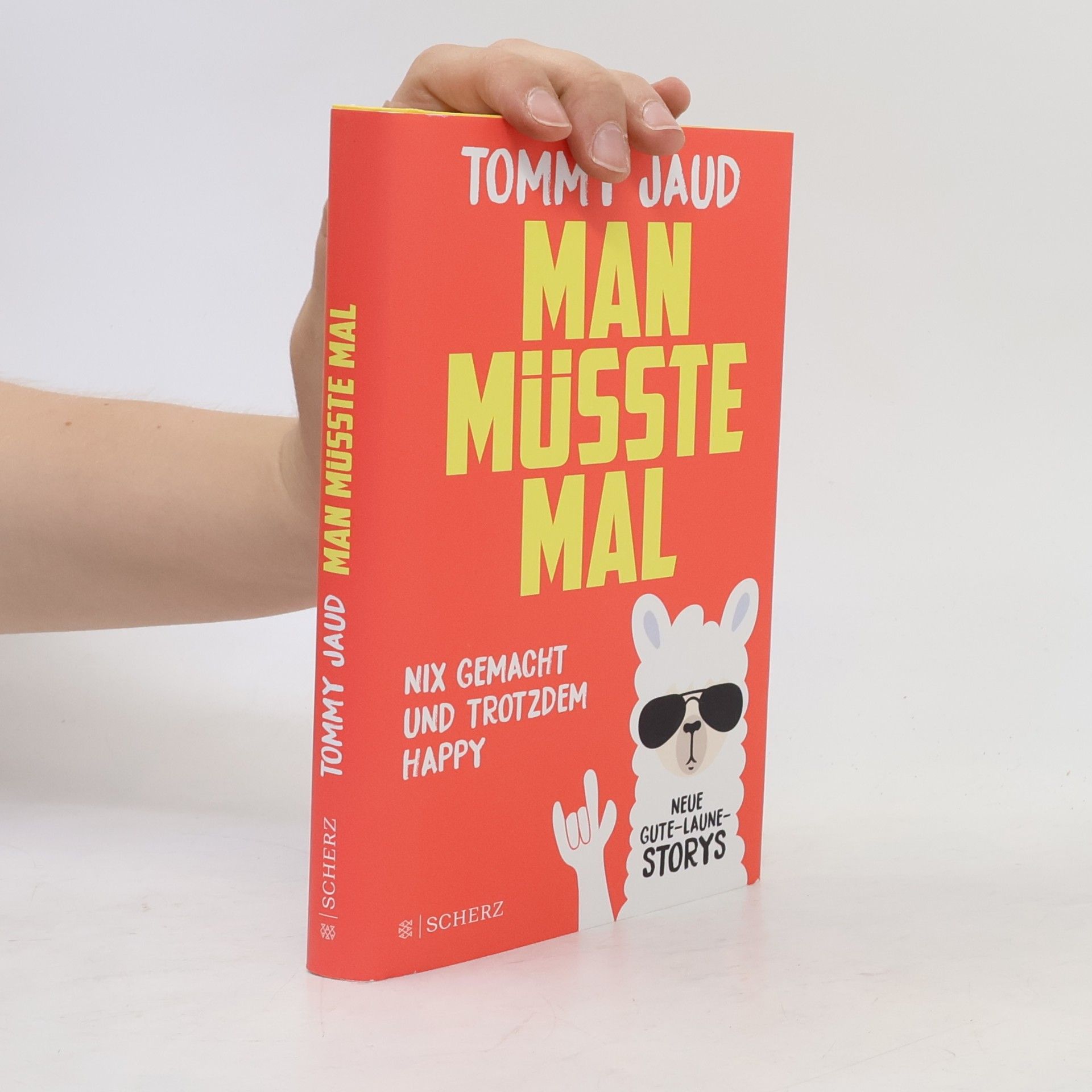 Tommy Jaud Man müsste mal
