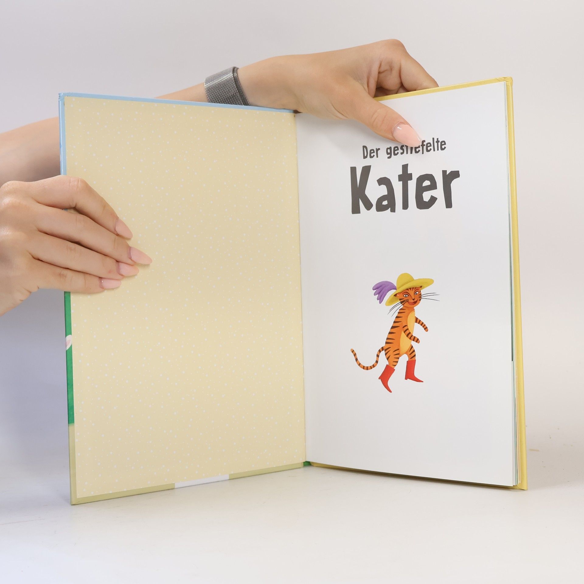 AA.VV. Der Gestiefelte Kater
