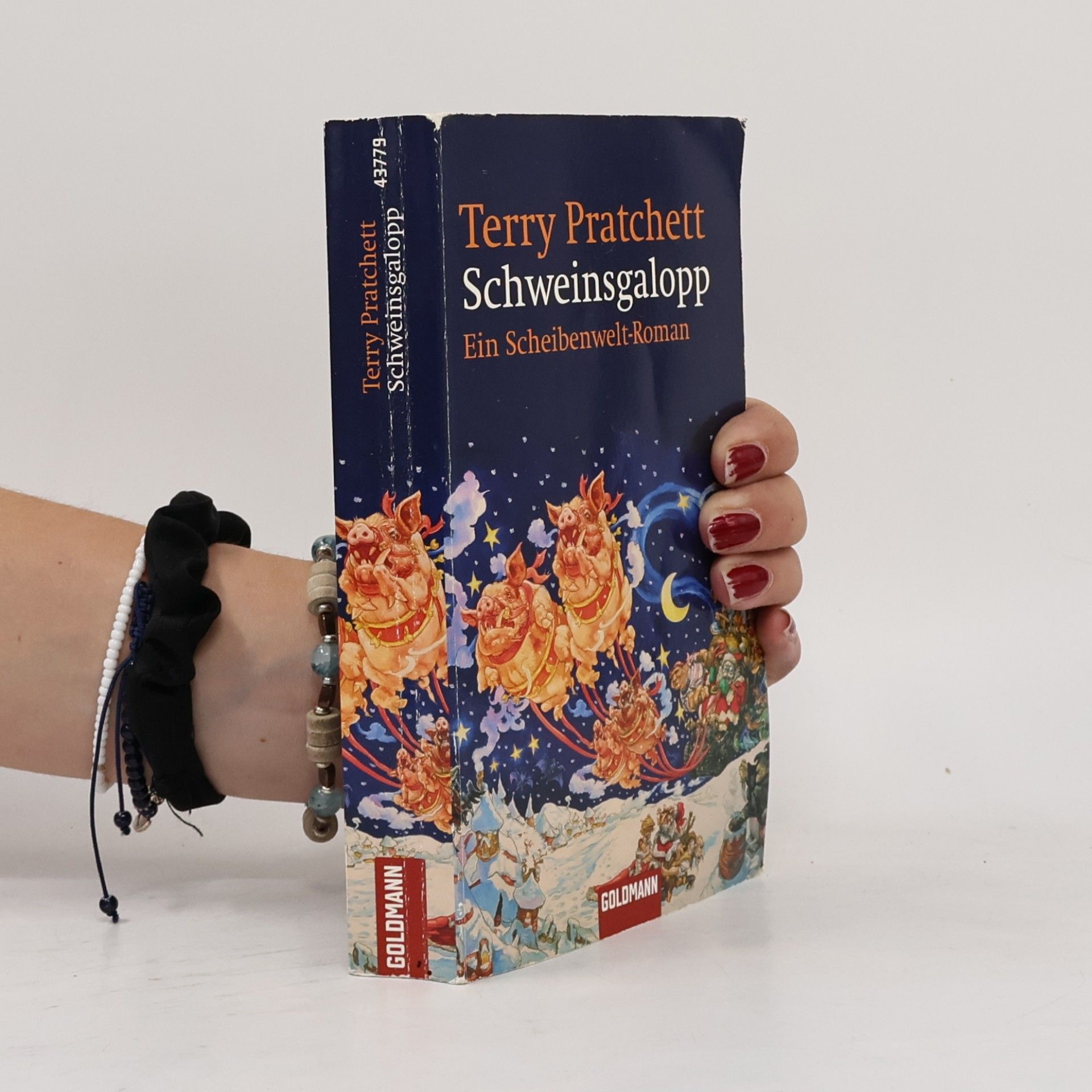 Terry Pratchett Schweinsgalopp