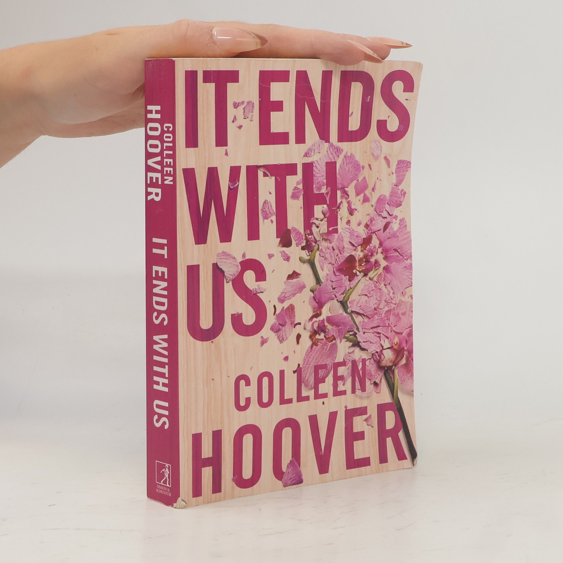 Colleen Hoover It Ends With Us