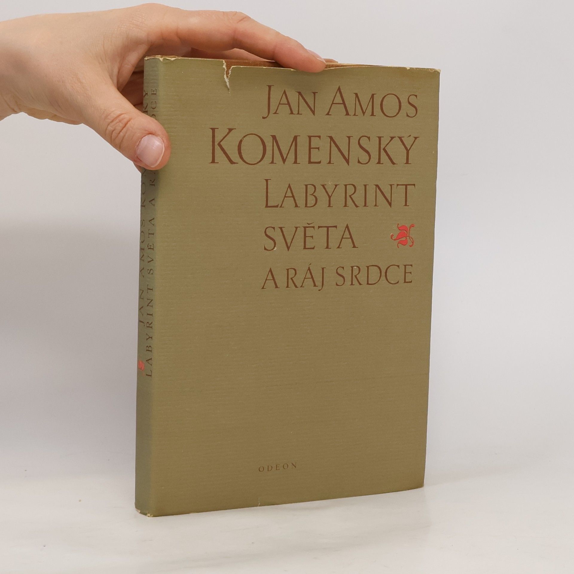 Jan Amos Komenský Labyrint světa a ráj srdce