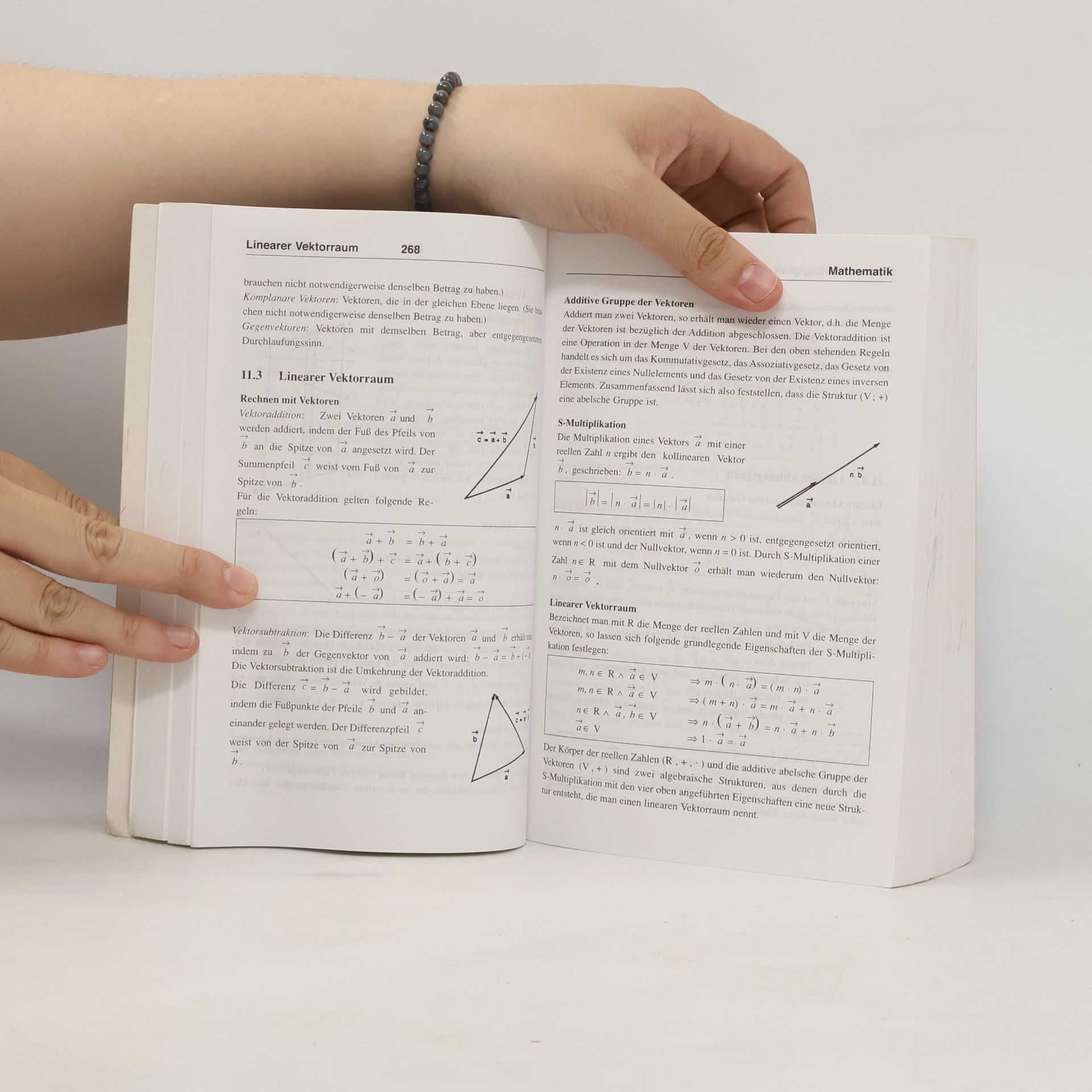 Manfred Hoffmann Mathe, Physik, Chemie