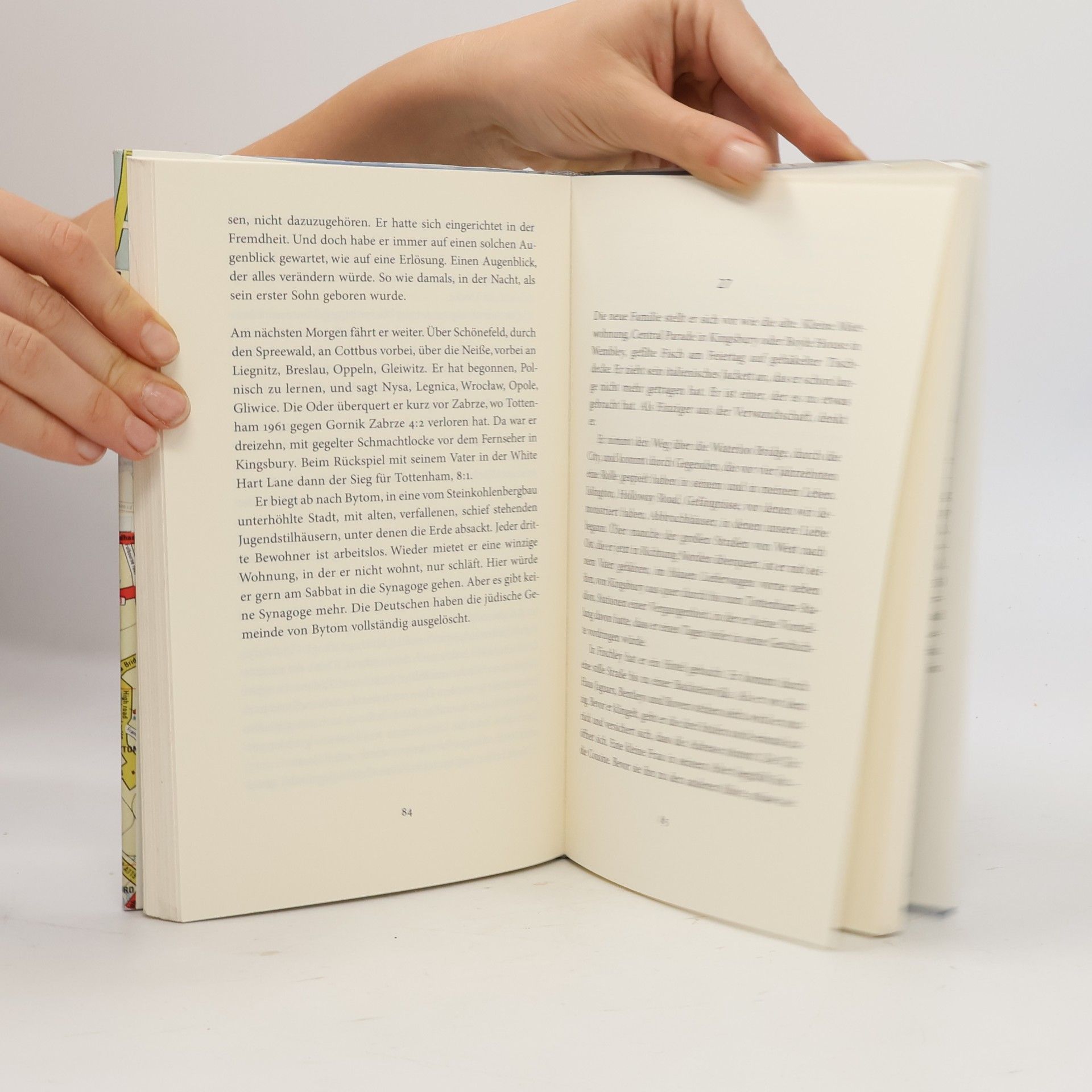 Ulrike Edschmid Levys Testament