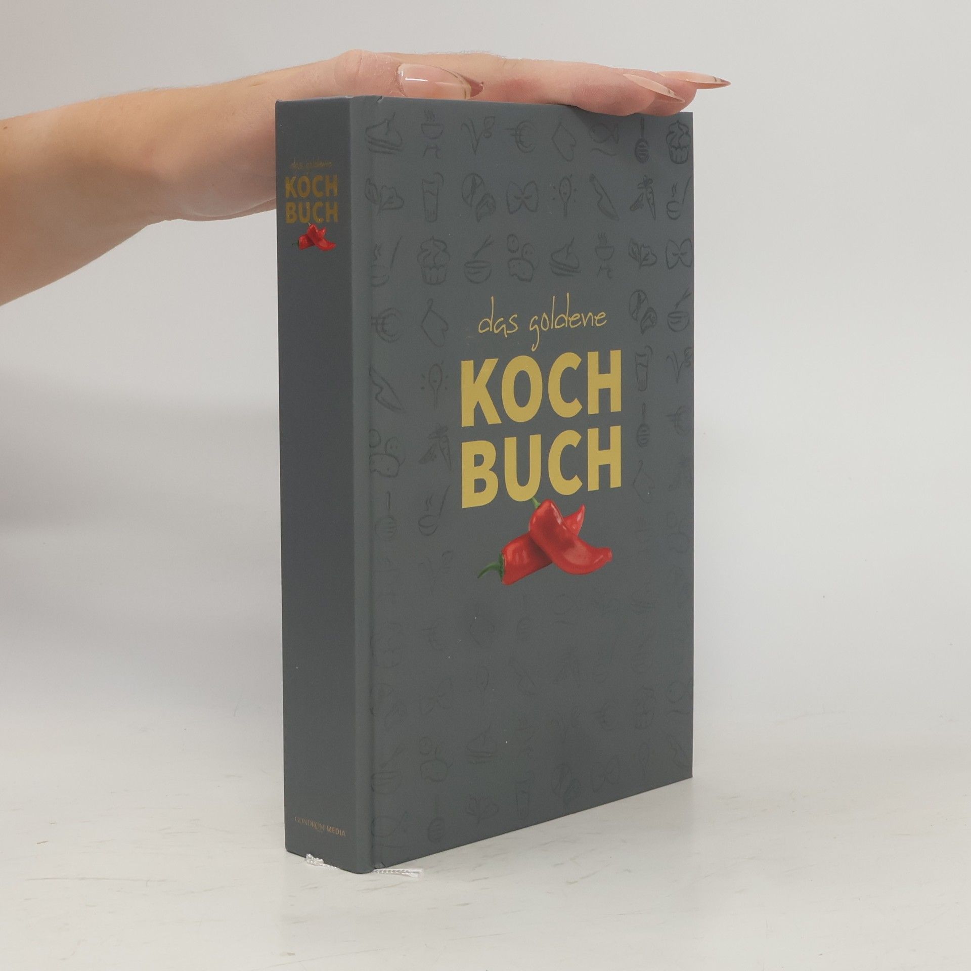 Rainer Meidinger Das goldene Kochbuch