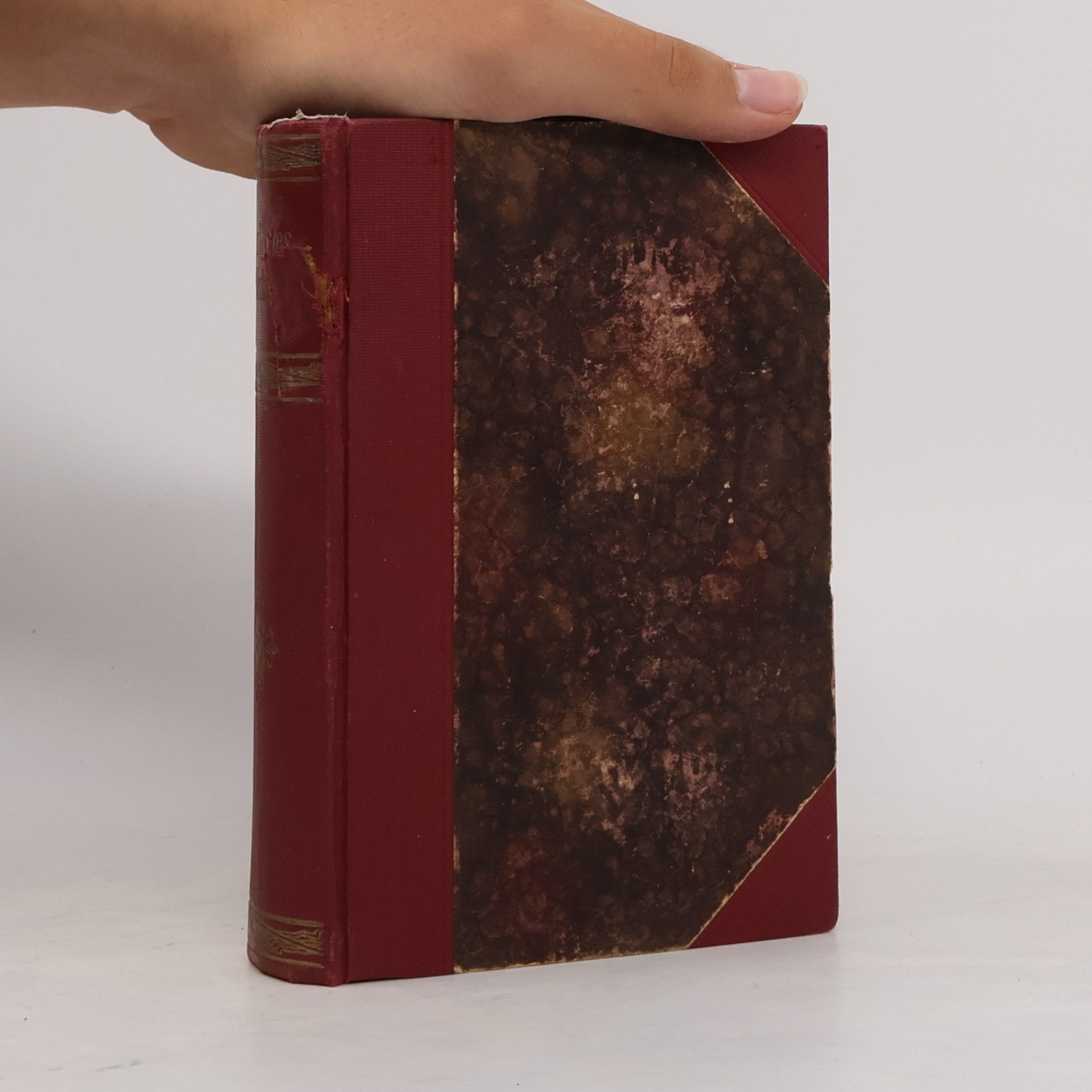 Oscar Wilde Wildes Werke 7