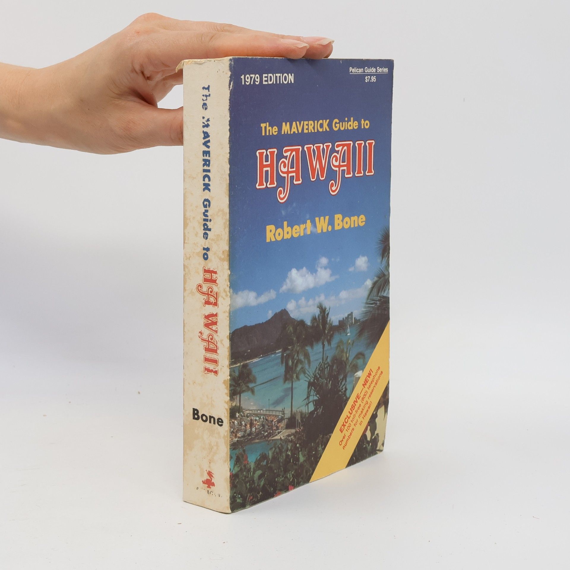 The Maverick Guide to Hawaii