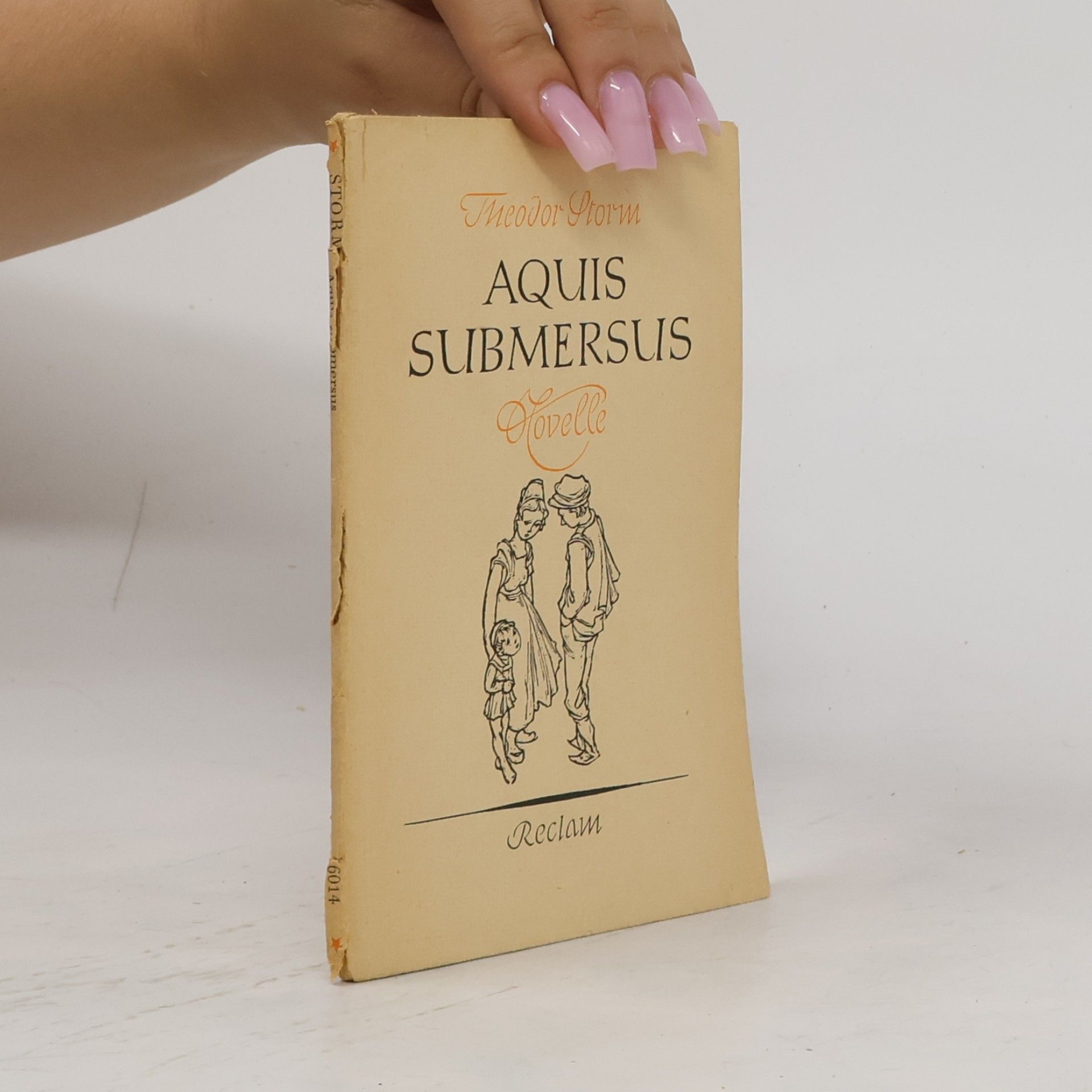 Theodor Storm Aquis Submersus