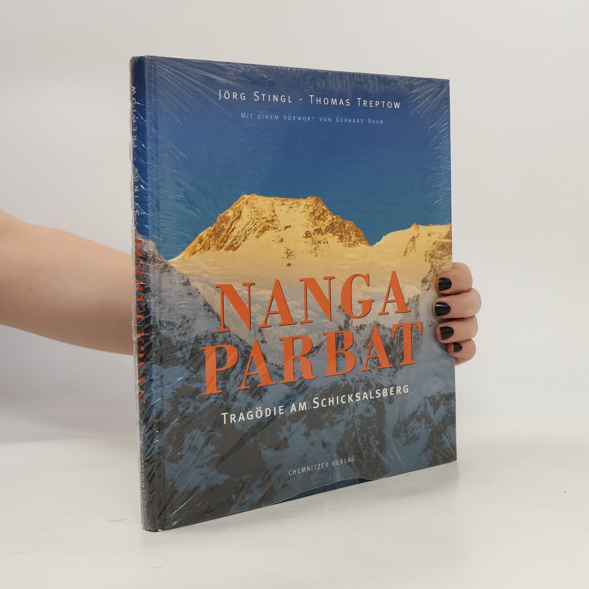 Jörg Stingl Nanga Parbat