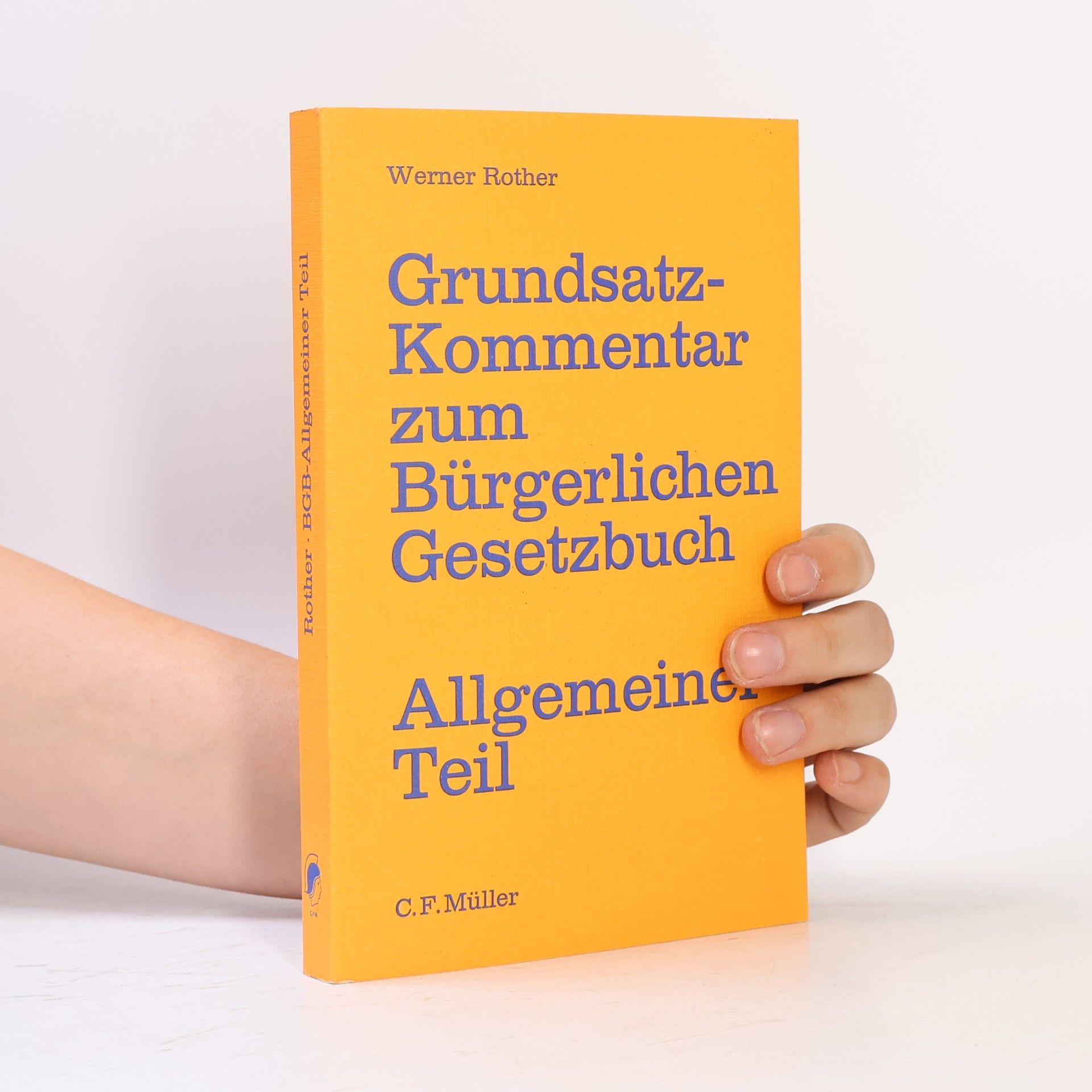 Werner Rother Grundsatzkommentar zum Bürgerlichen Gesetzbuch