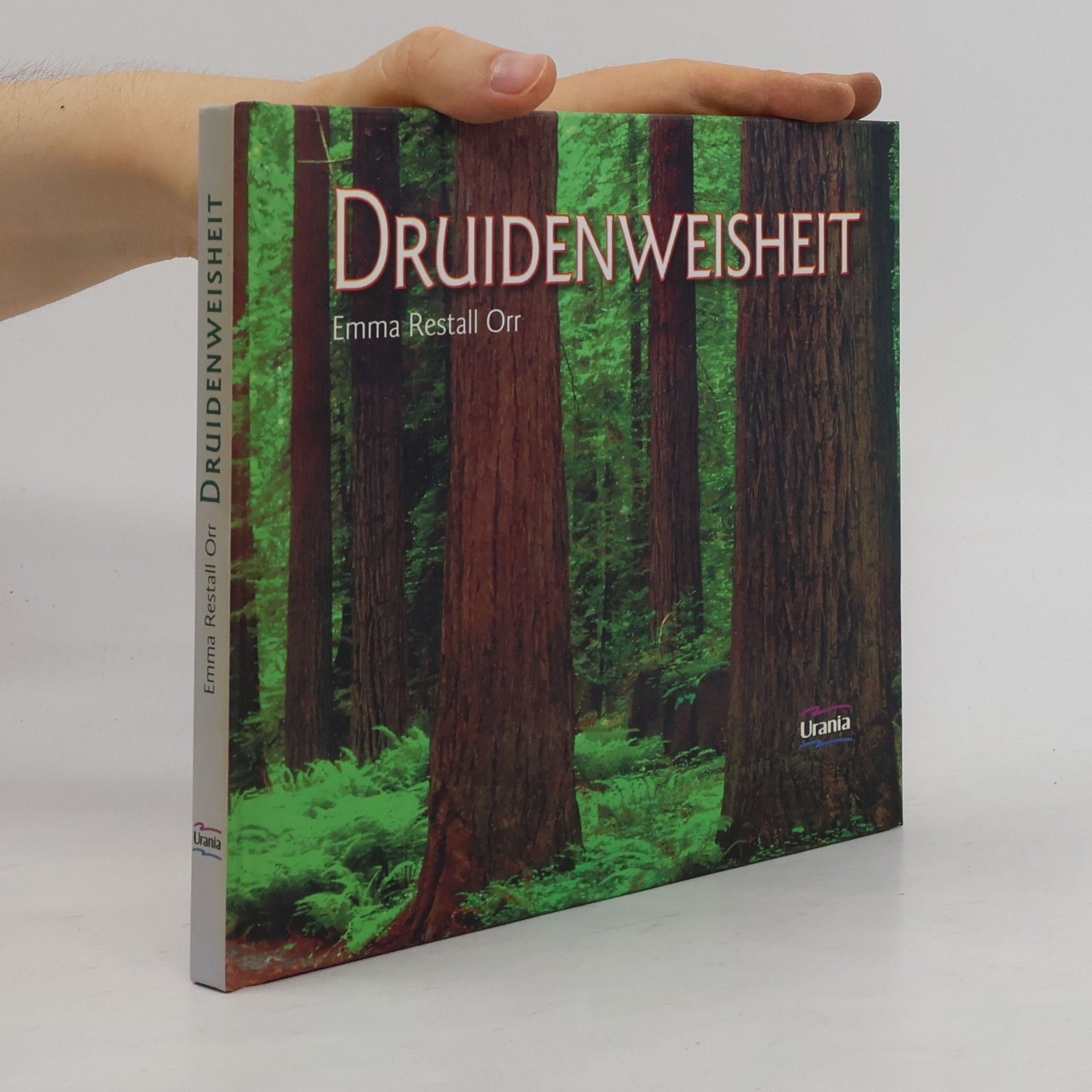 Druidenweisheit