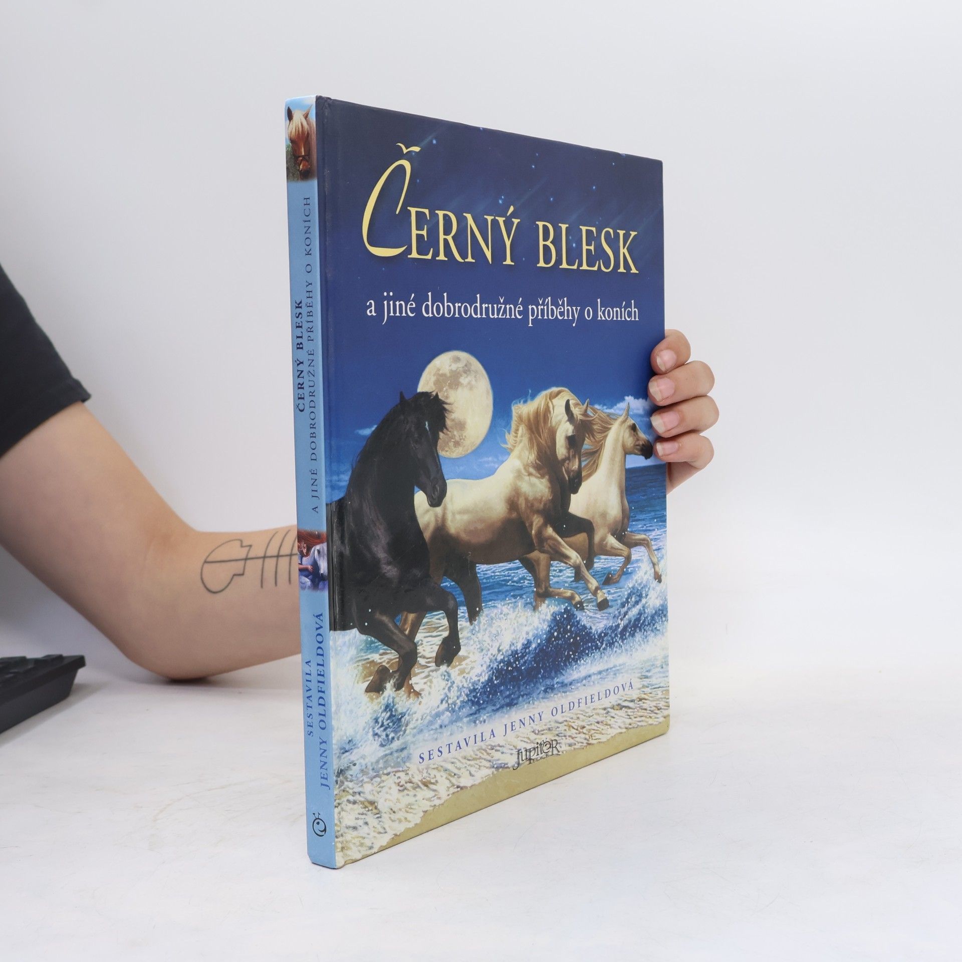 Jenny Oldfield Černý blesk a jiné dobrodružné příběhy o koních