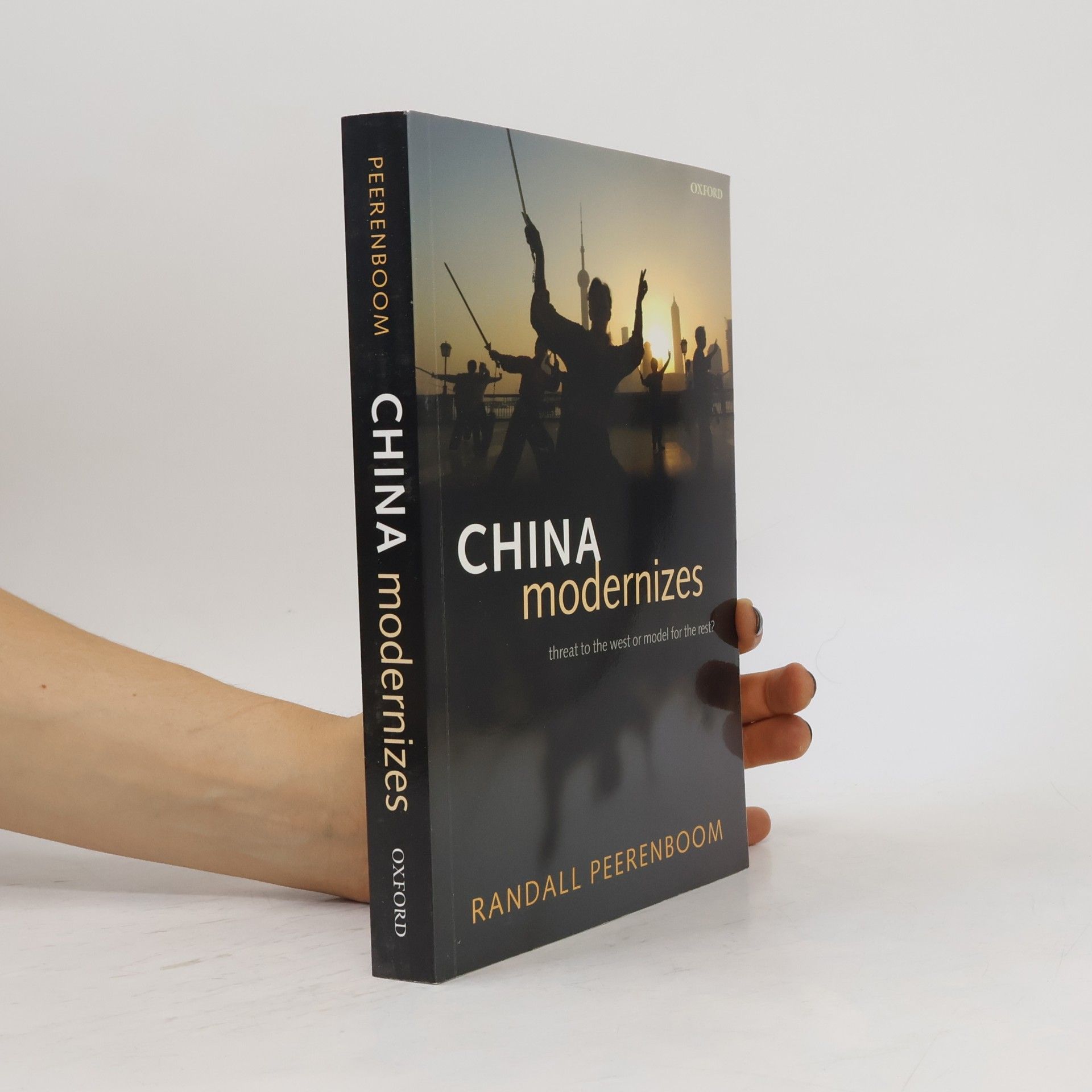 Randall Peerenboom China Modernizes