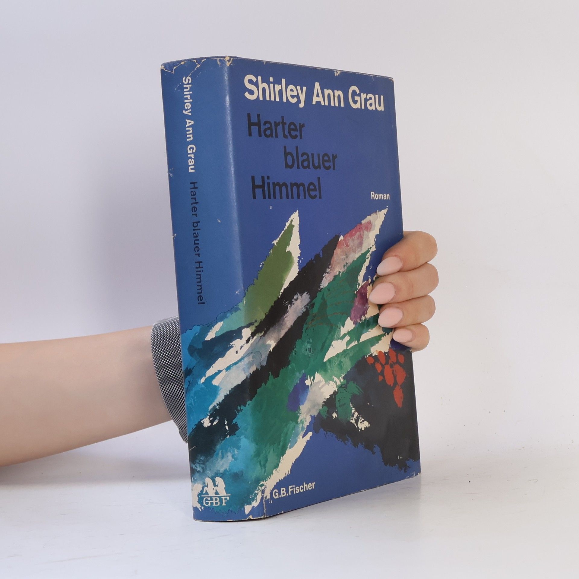 Shirley Ann Grau Harter blauer Himmel