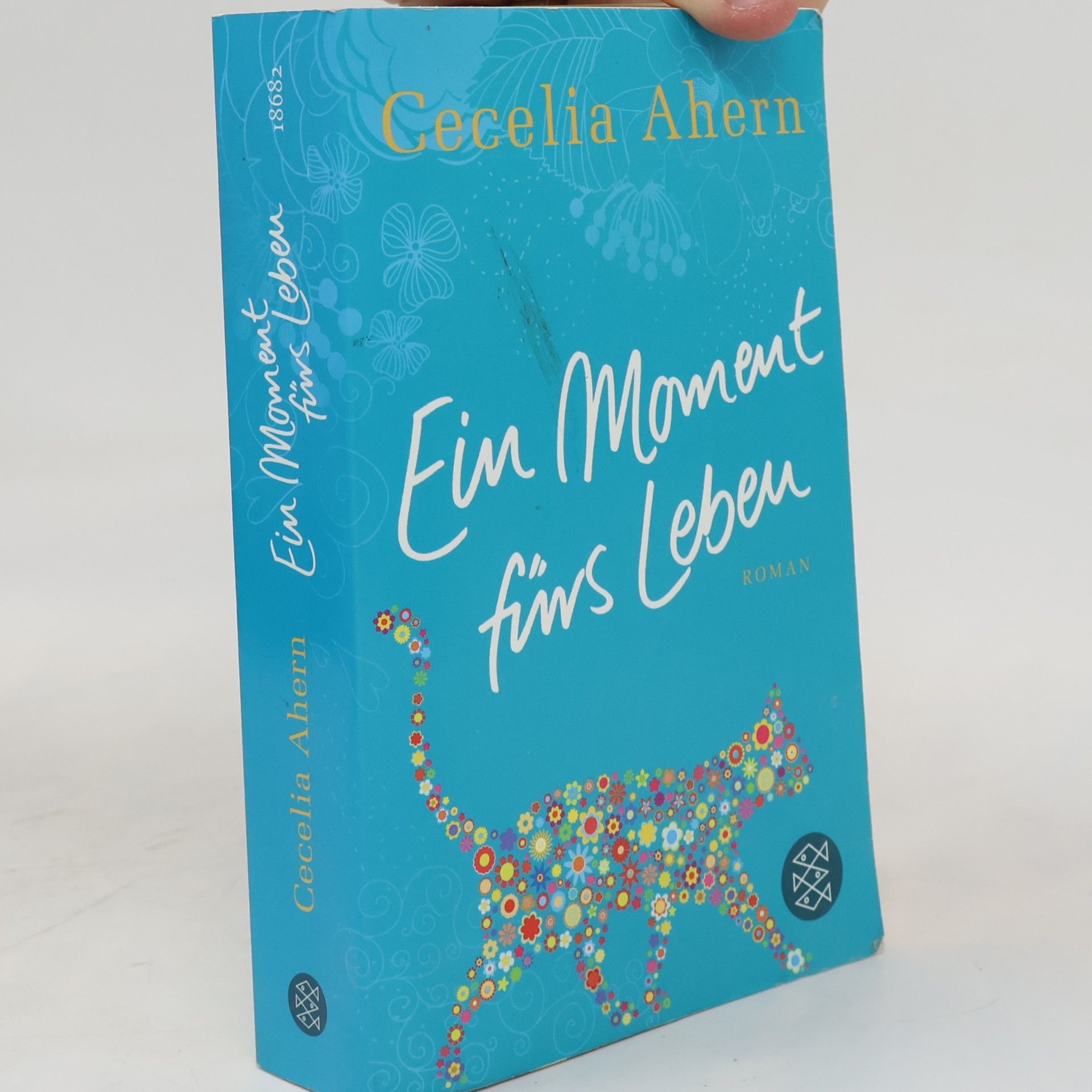 Cecelia Ahern Ein Moment fürs Leben