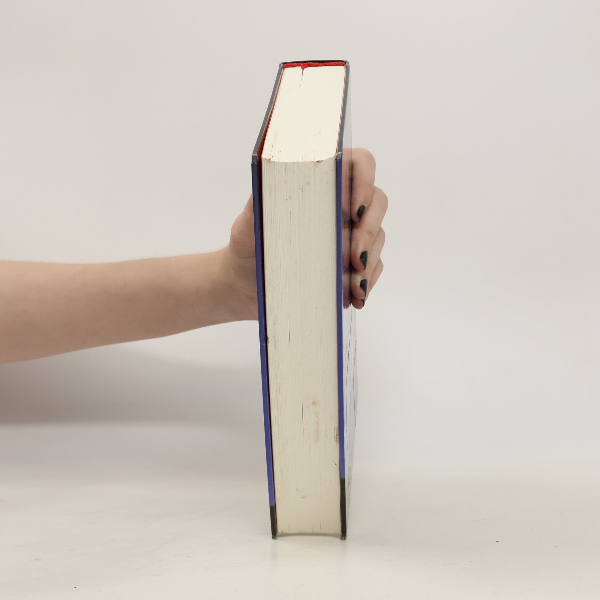 Elizabeth Strout Das Leben, natürlich