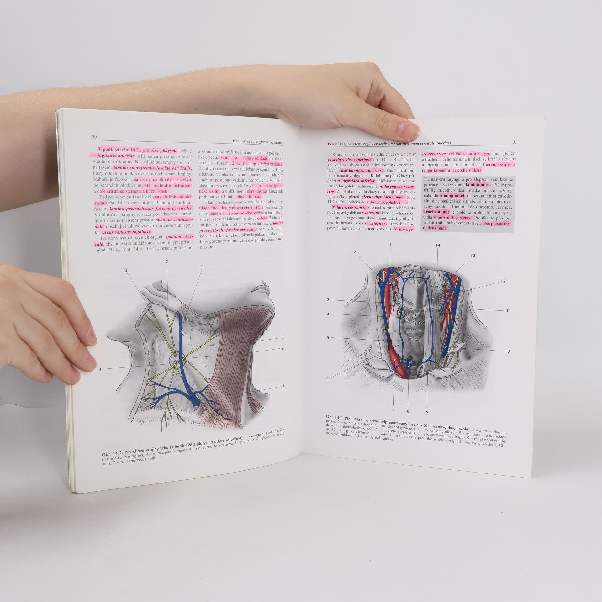 Miloš Grim Základy anatomie. 5., Anatomie krajin těla