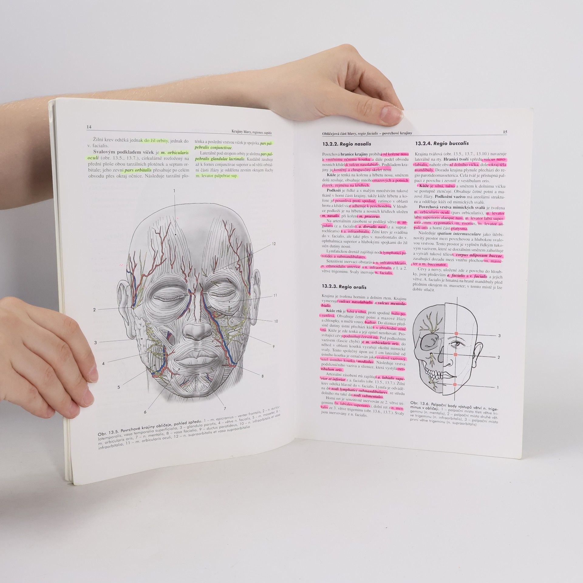 Miloš Grim Základy anatomie. 5., Anatomie krajin těla