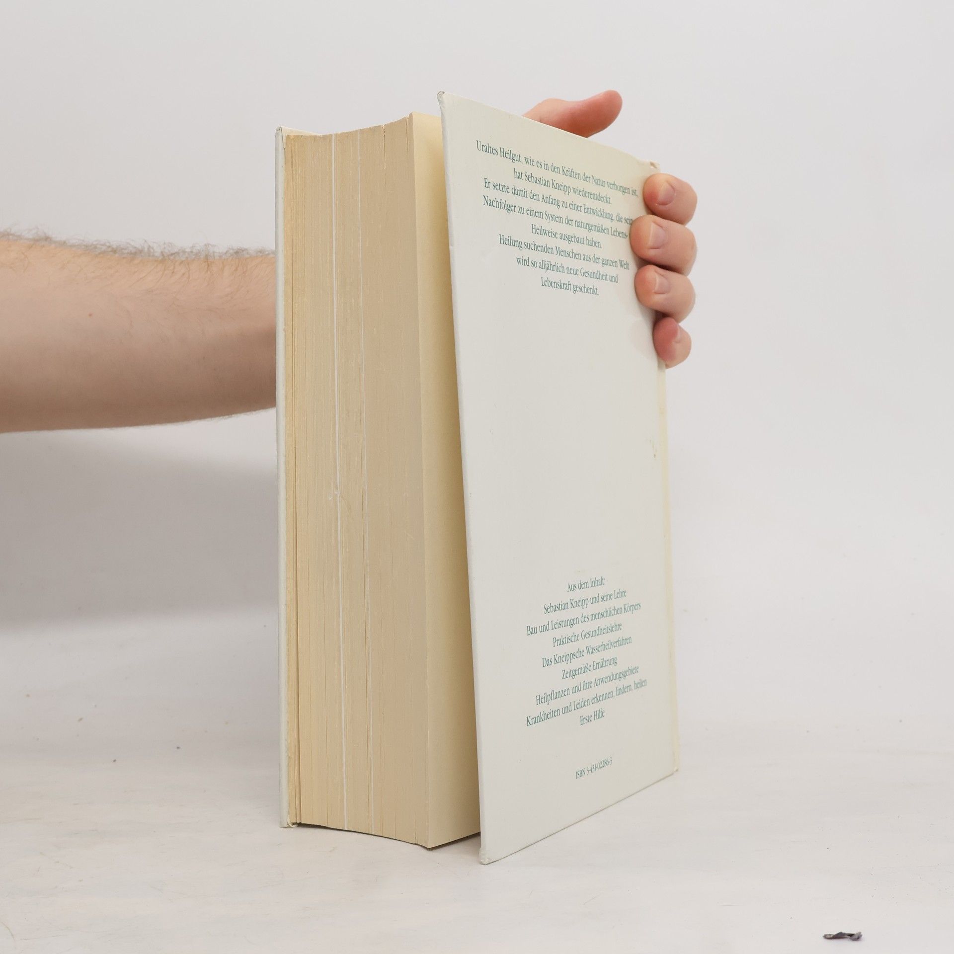 Josef H. Kaiser Das große Kneippbuch