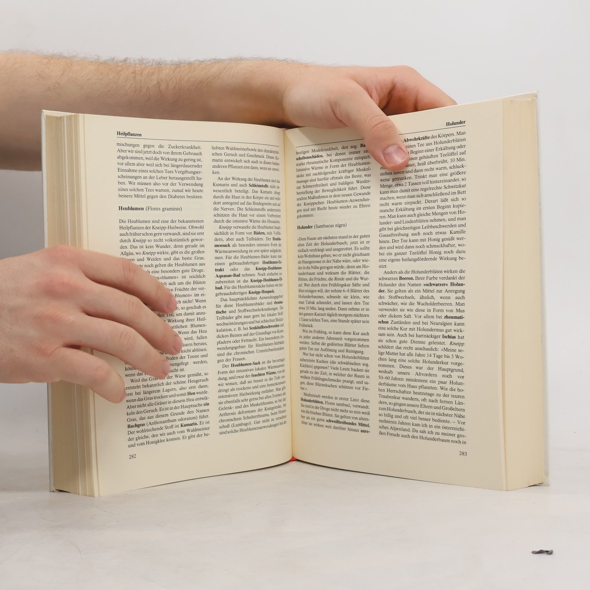 Josef H. Kaiser Das große Kneippbuch