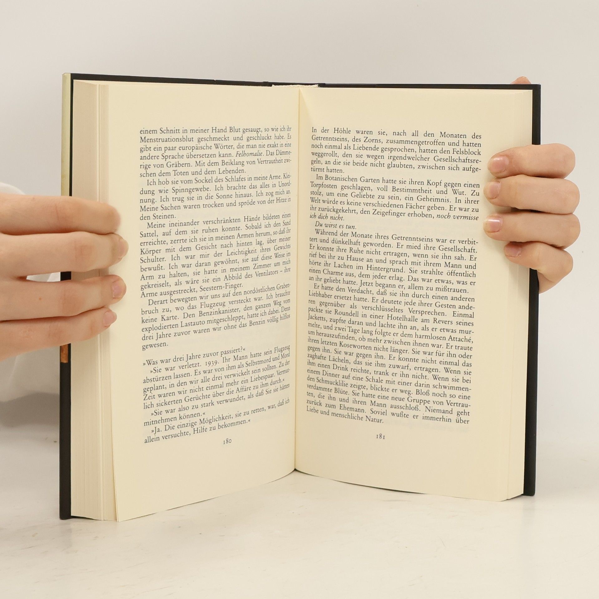 Michael Ondaatje Der englische Patient
