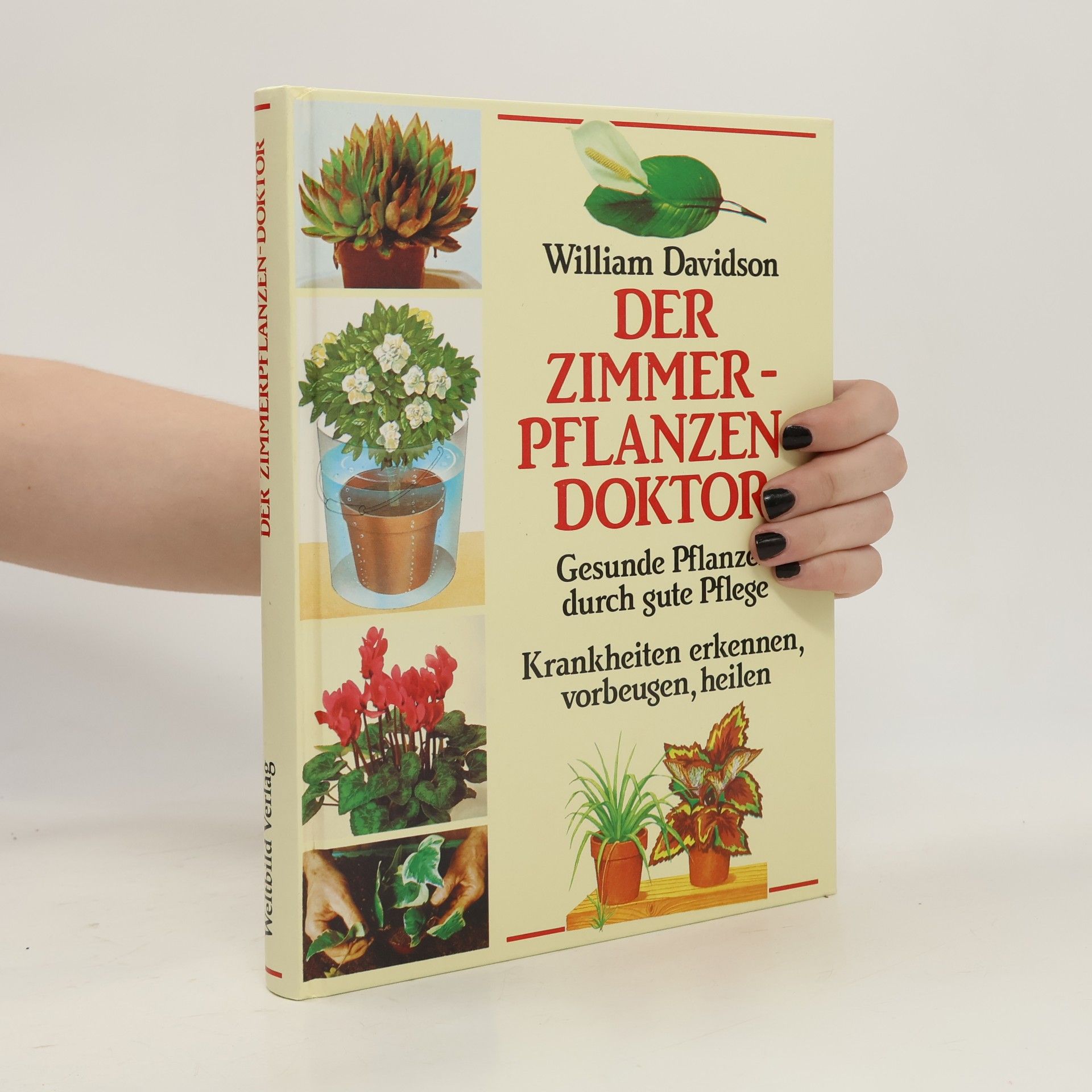 William Davidson Der Zimmerpflanzendoktor