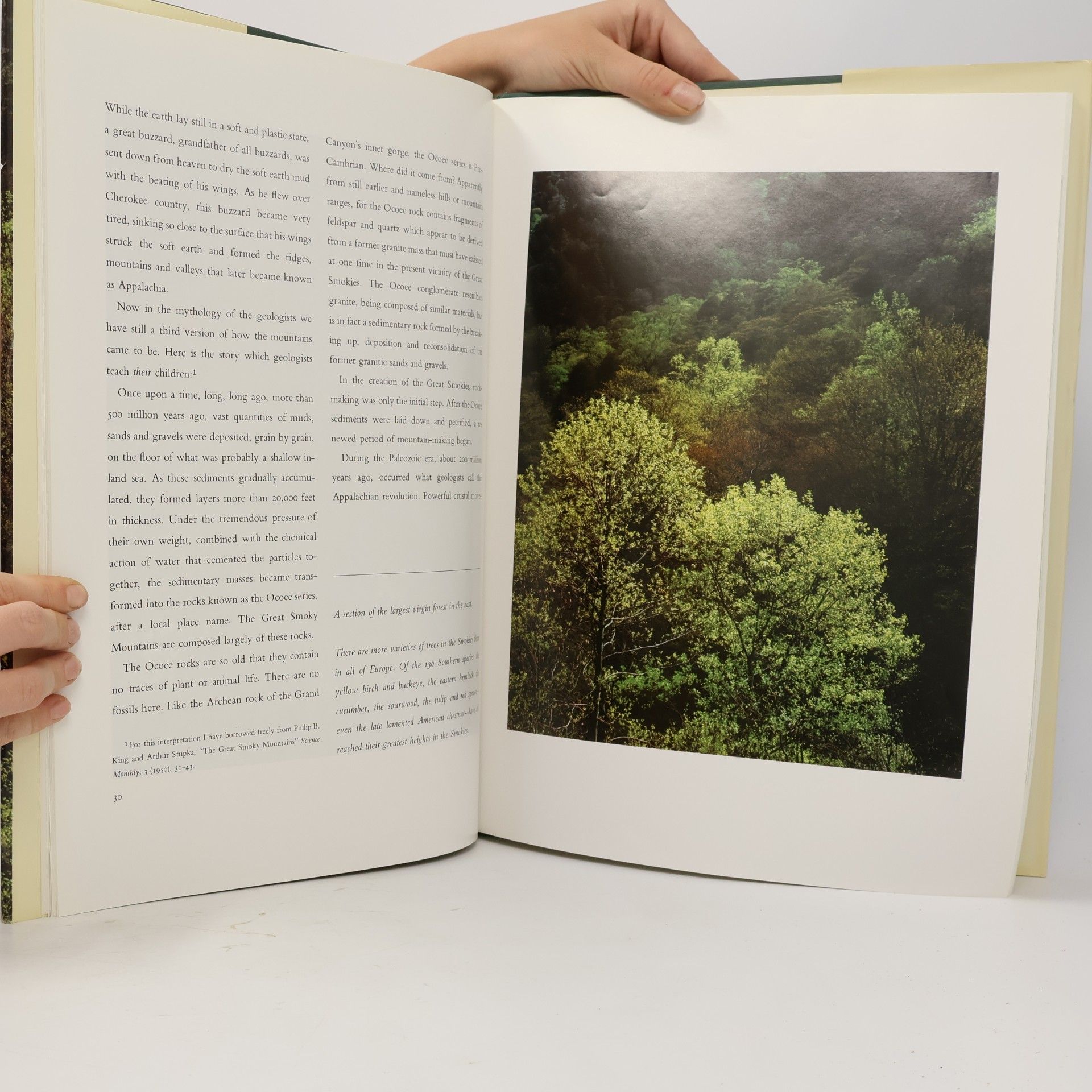 Eliot Porter Appalachian Wilderness