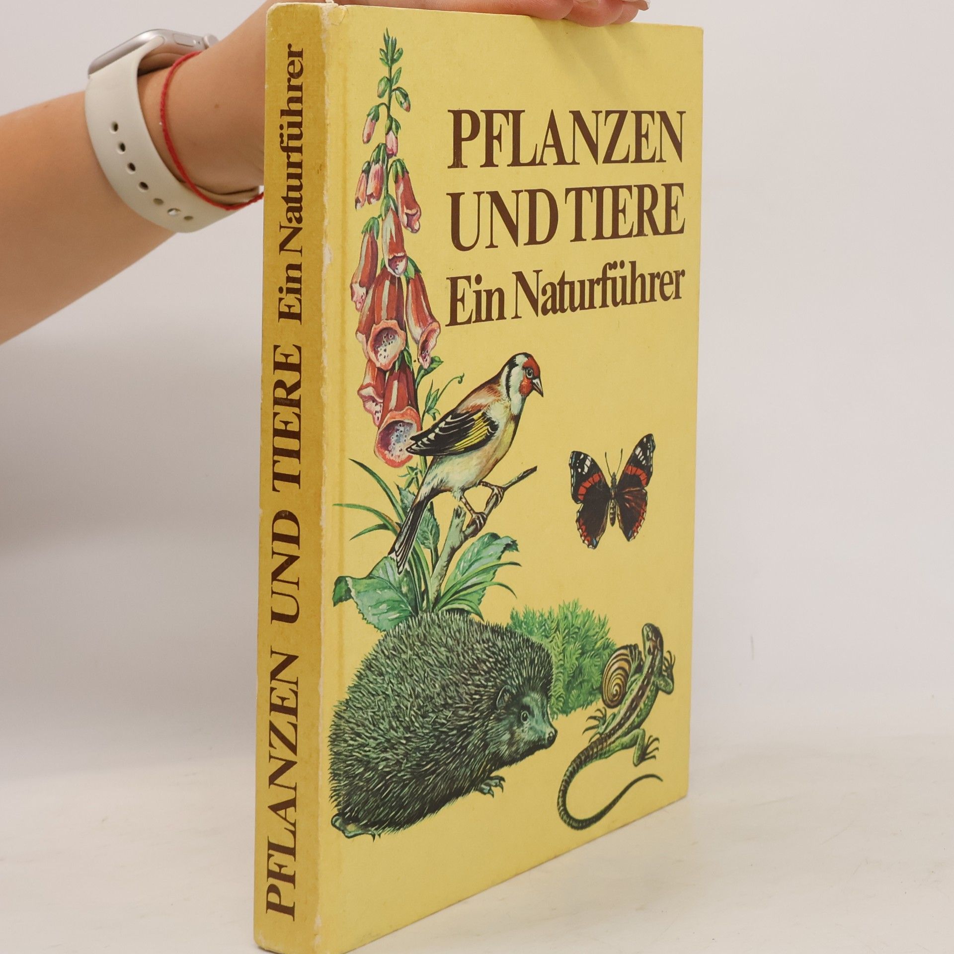 Collectif d'auteurs Pflanzen und Tiere. Ein Naturführer