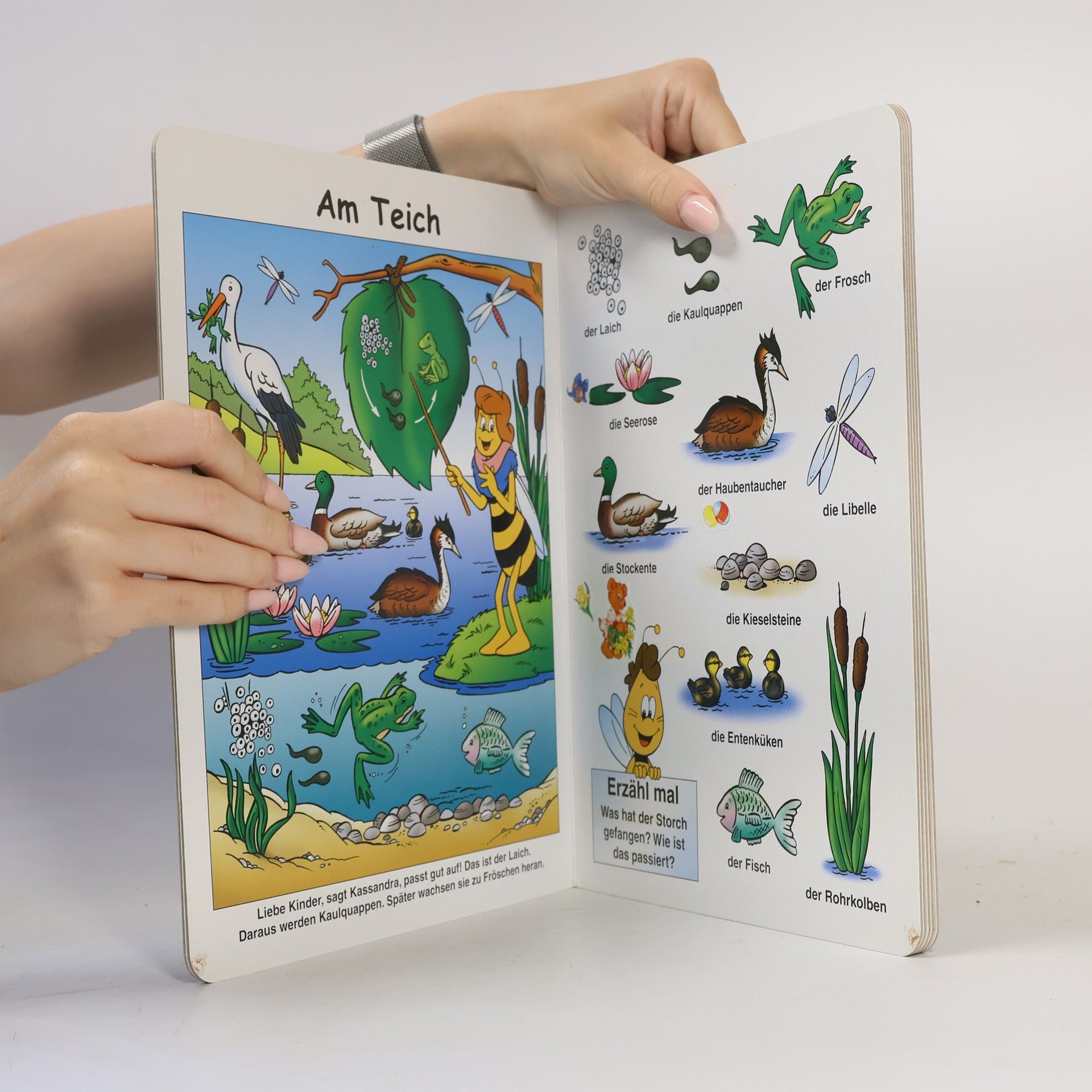 Autorenkollektiv Mein Bildwörterbuch