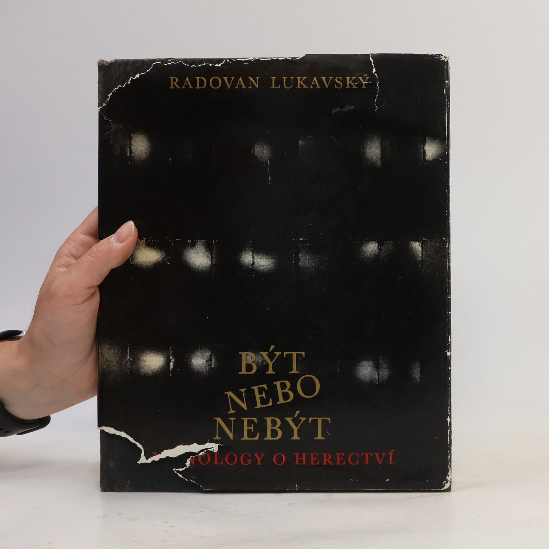 Radovan Lukavský Být nebo nebýt. Monology o herectví