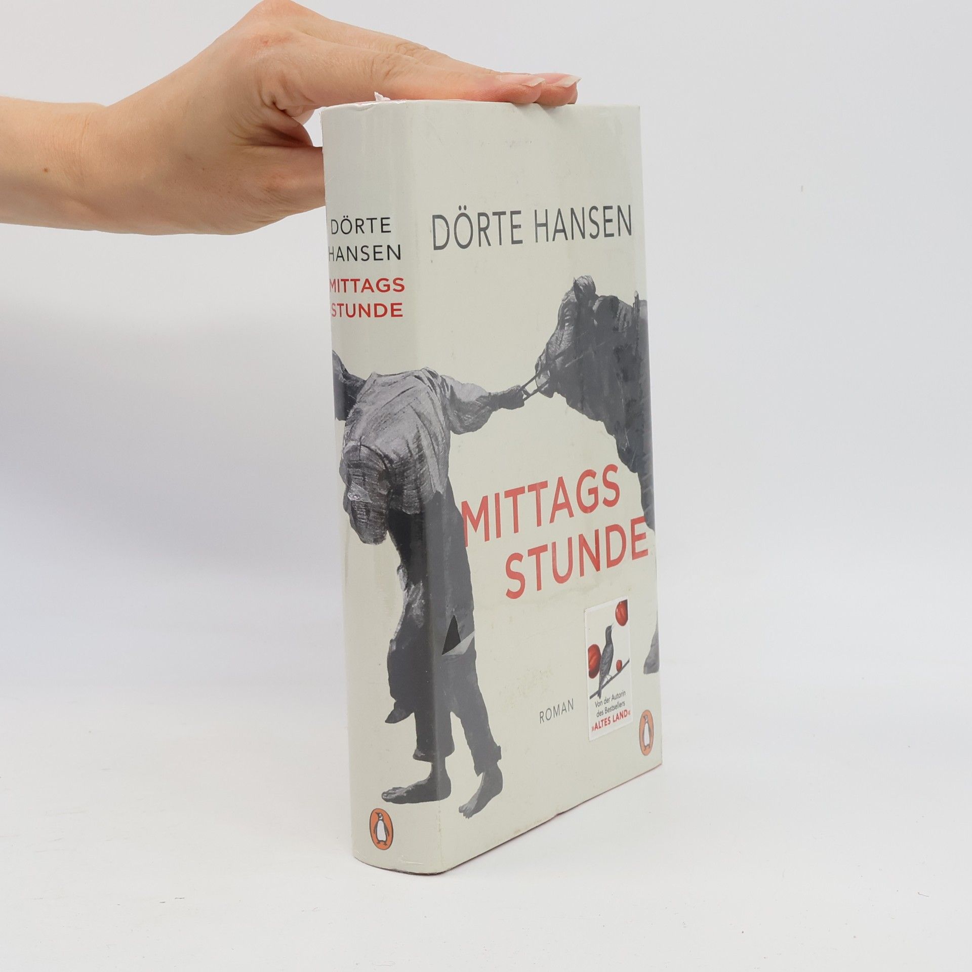 Dörte Hansen Mittagsstunde