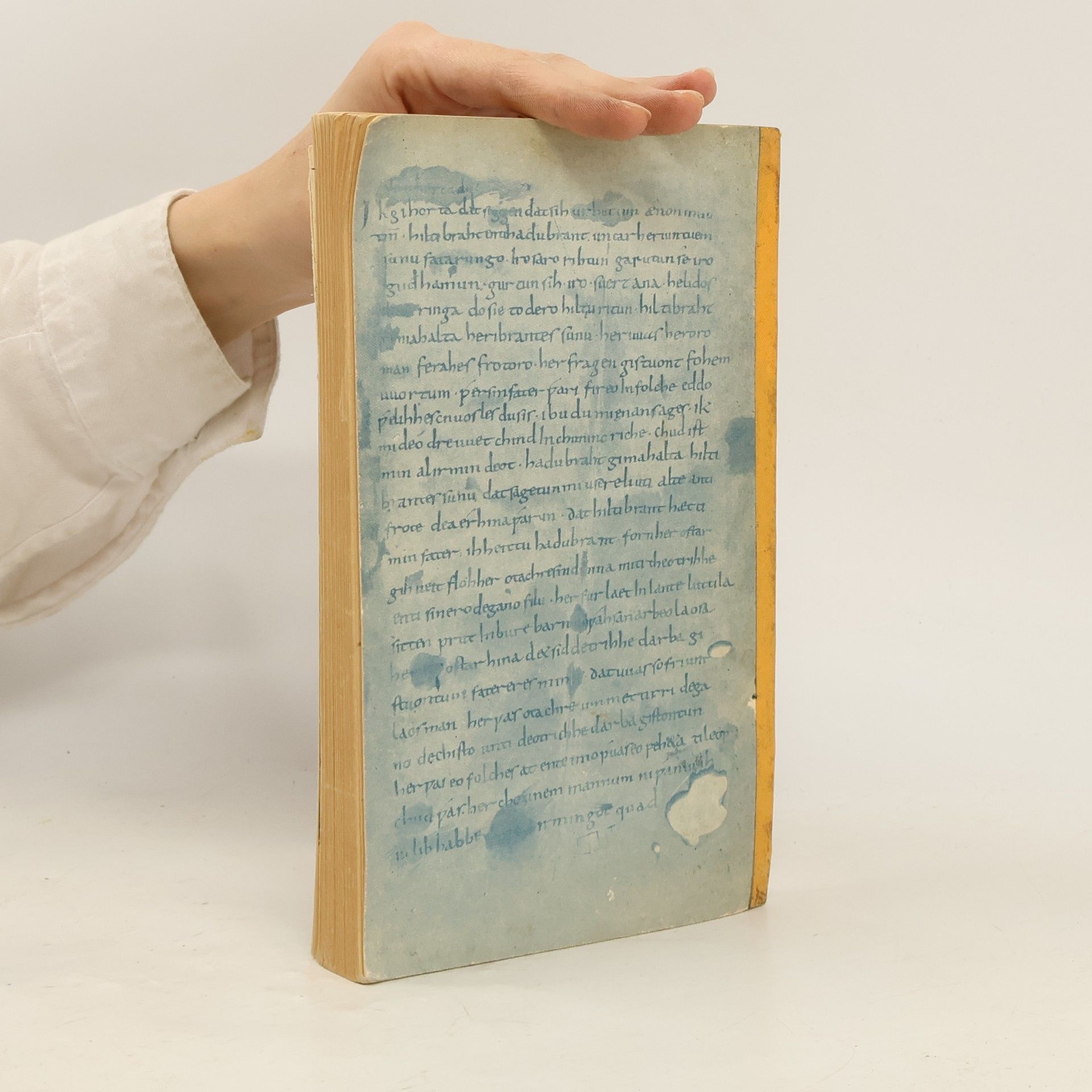 Friedrich Müller Deutsche Dichtung. Kleine Geschichte unserer Literatur