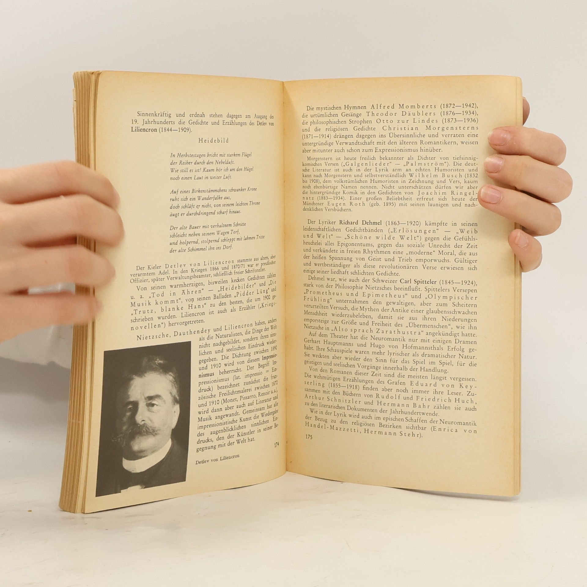 Friedrich Müller Deutsche Dichtung. Kleine Geschichte unserer Literatur