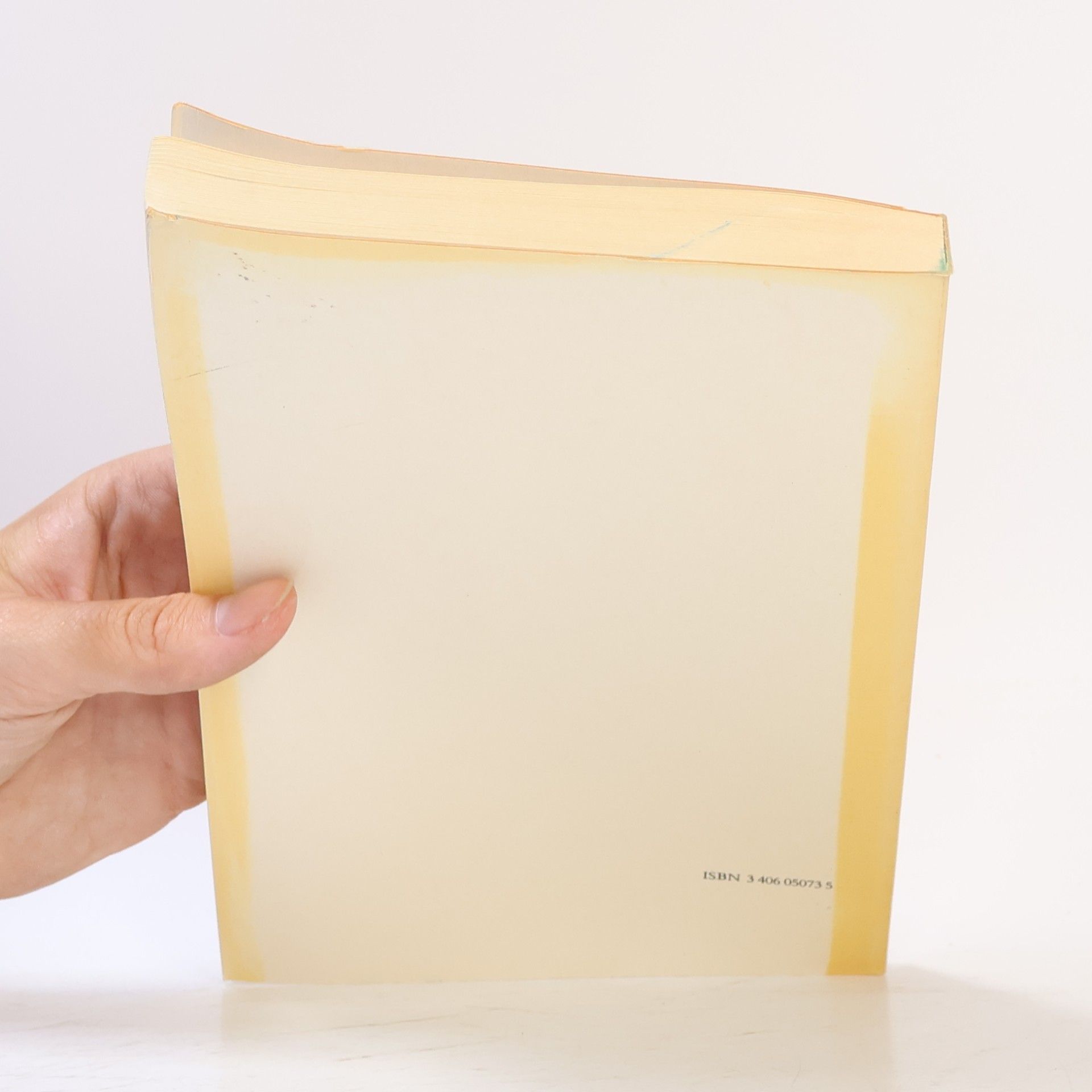 Dietrich Rahn JuS-Schriftenreihe - 25: Mustertexte zum Strafprozess