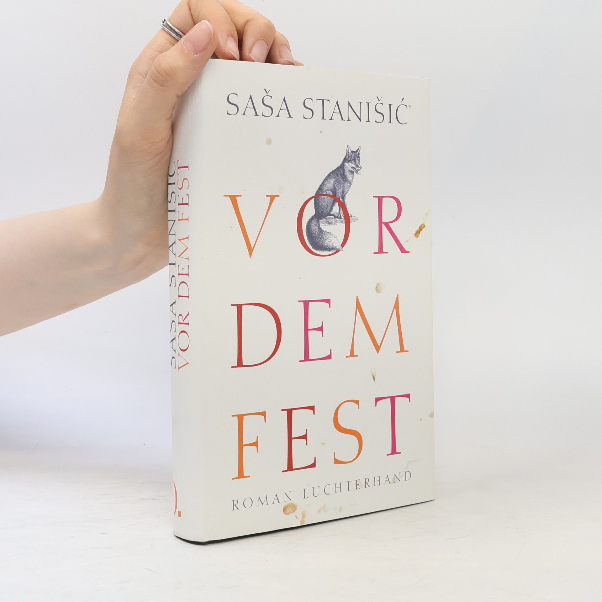 Saša Stanišič Vor dem Fest