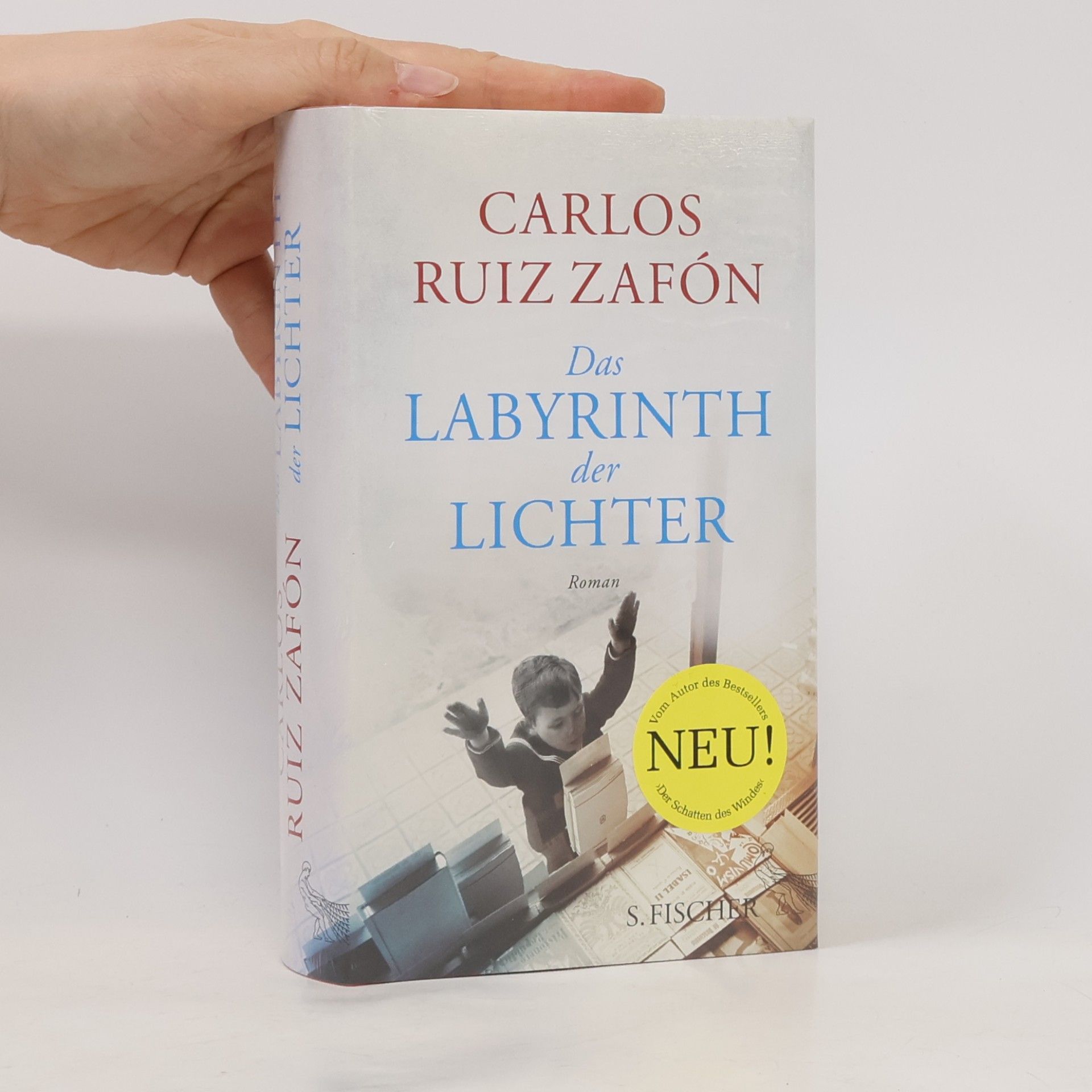 Carlos Ruiz Safon Das Labyrinth der Lichter