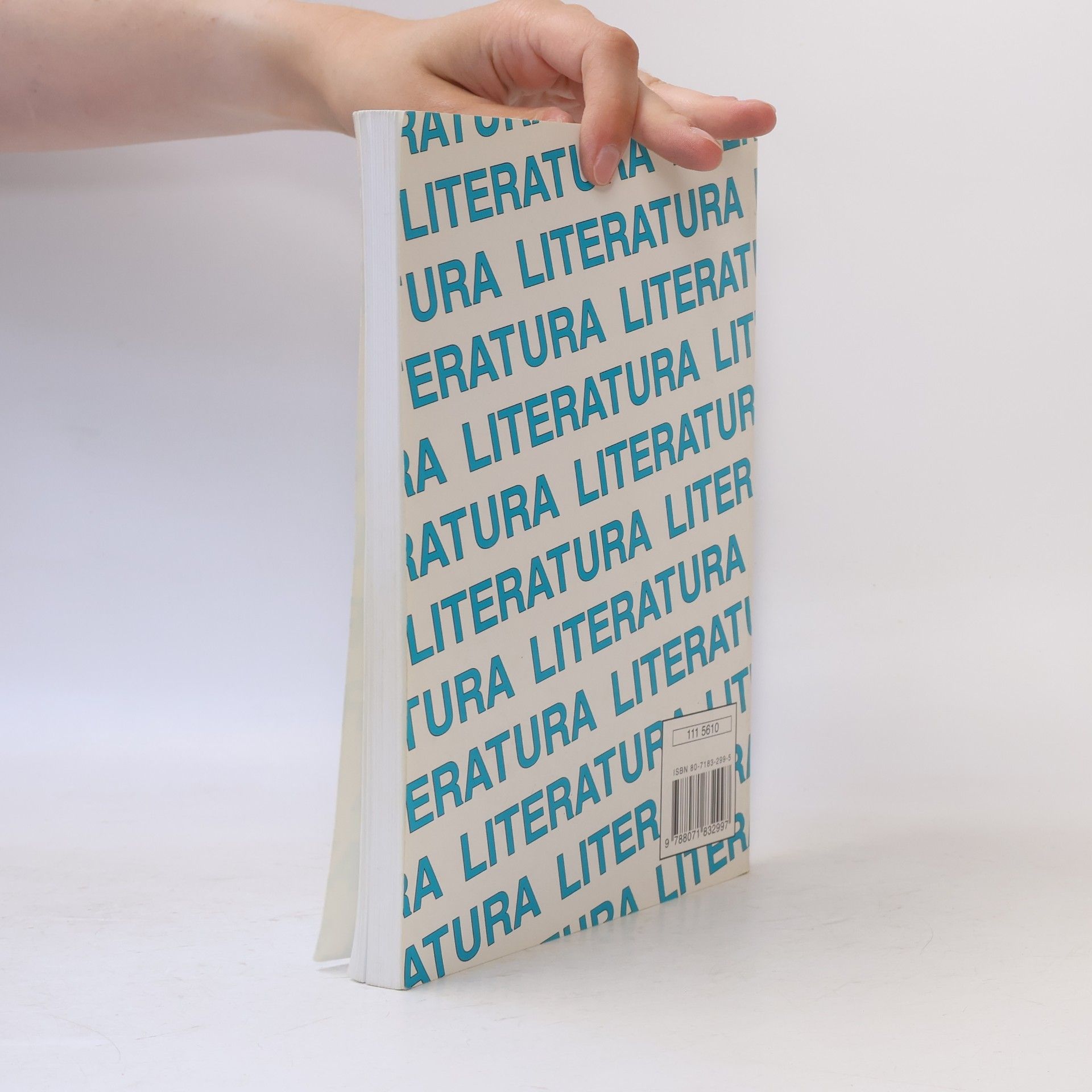 Michaela Soleiman pour Hashemi Literatura I, Výklad, interpretace, literární teorie