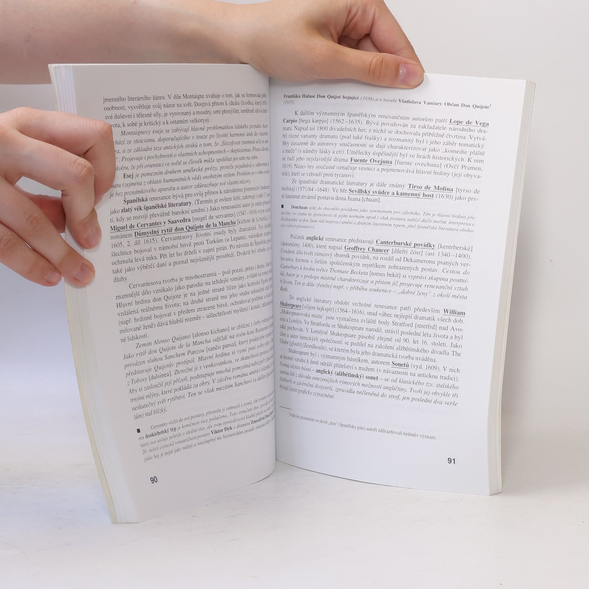 Michaela Soleiman pour Hashemi Literatura I, Výklad, interpretace, literární teorie