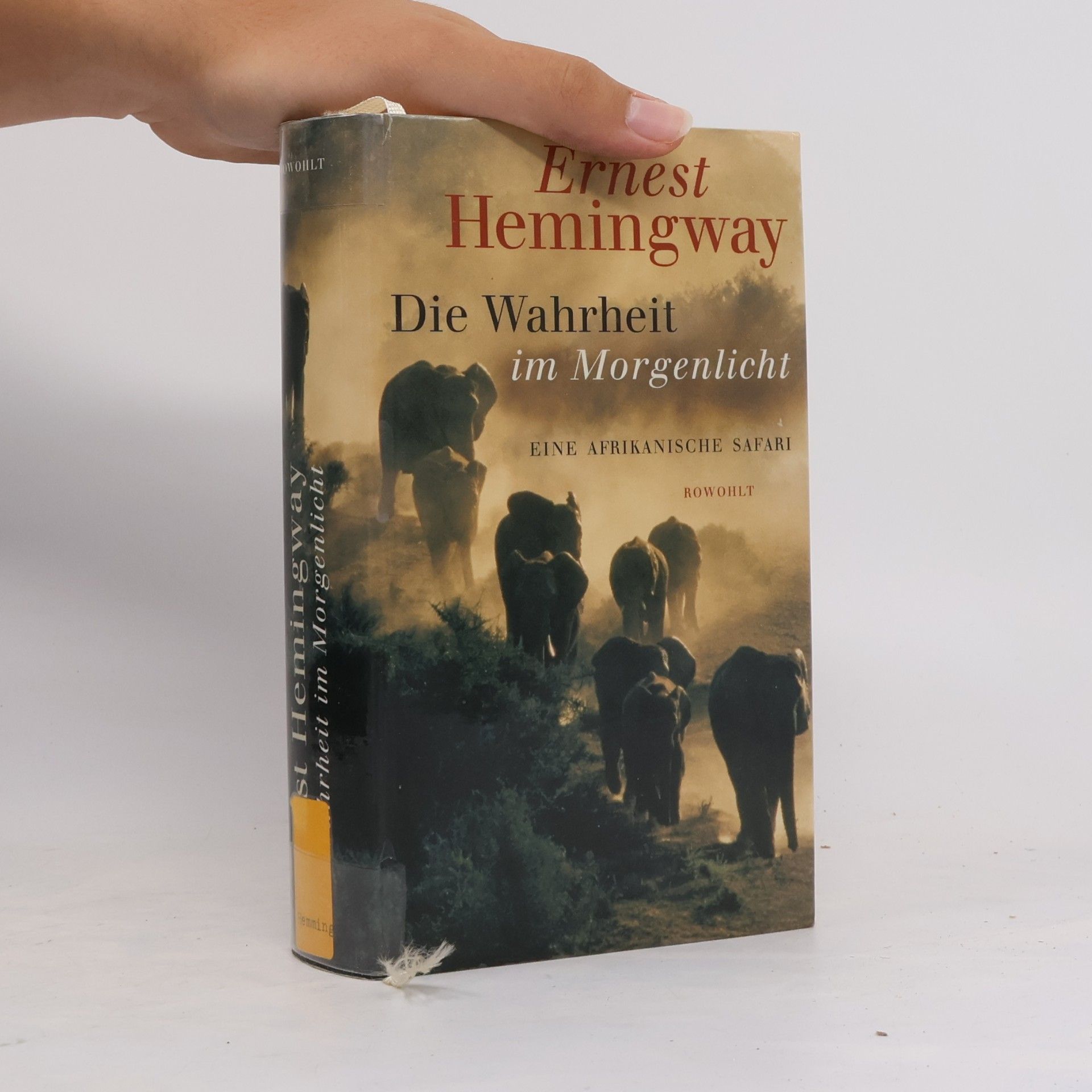 Ernest Hemingway Die Wahrheit im Morgenlicht