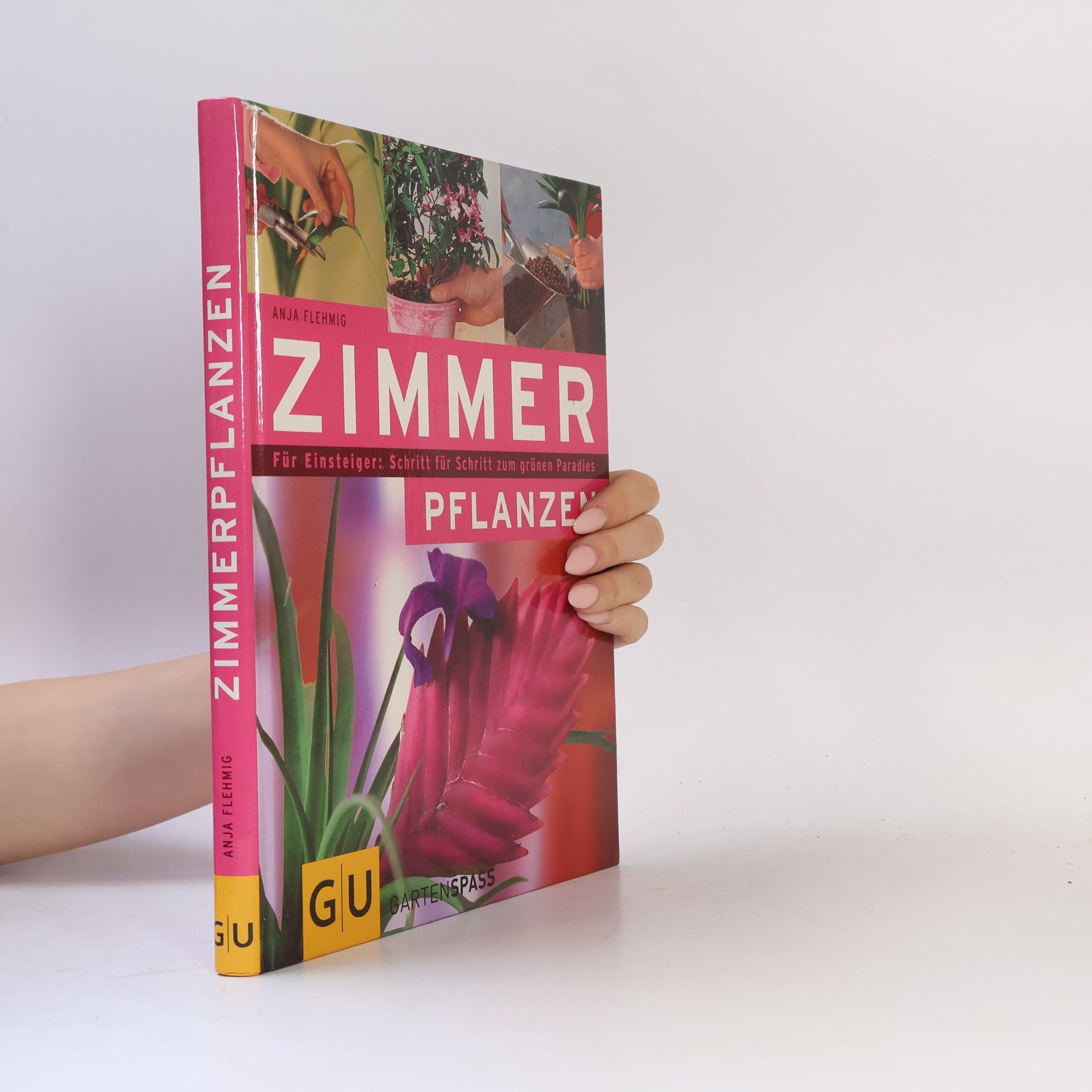 Zimmerpflanzen