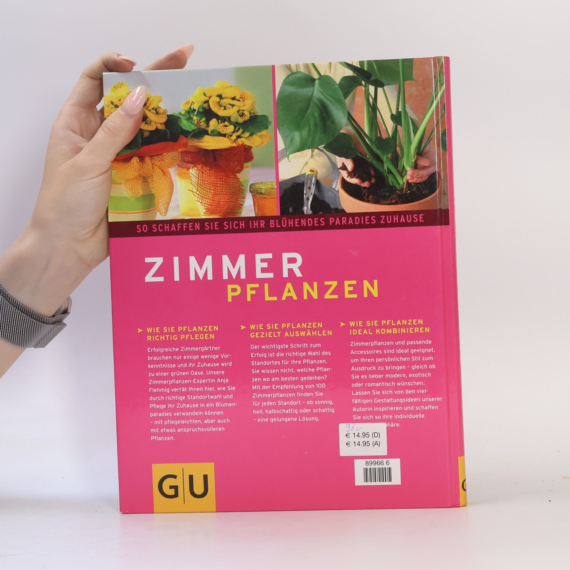 Anja Flehming Zimmerpflanzen