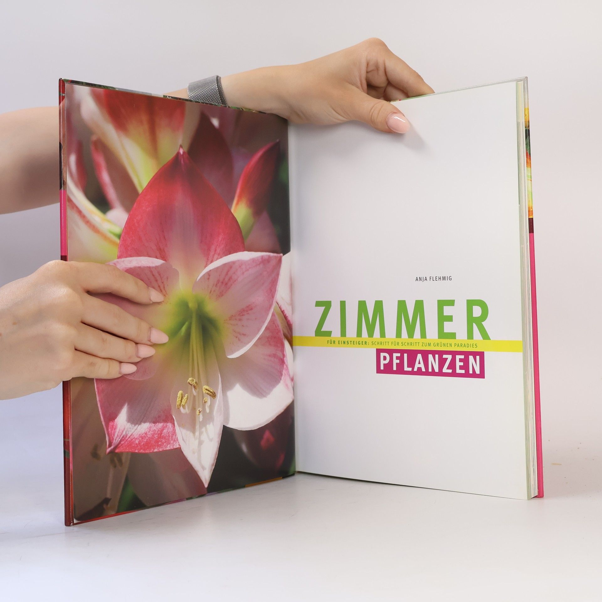 Anja Flehming Zimmerpflanzen