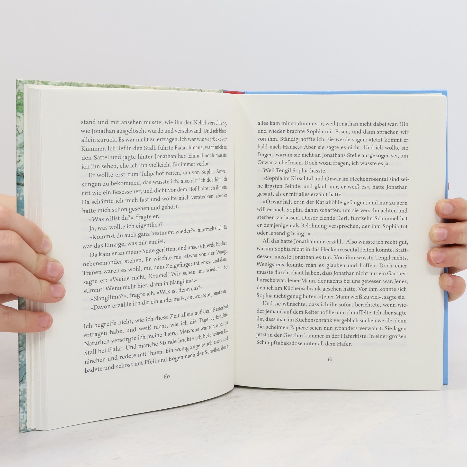Astrid Lindgren Die Brüder Löwenherz