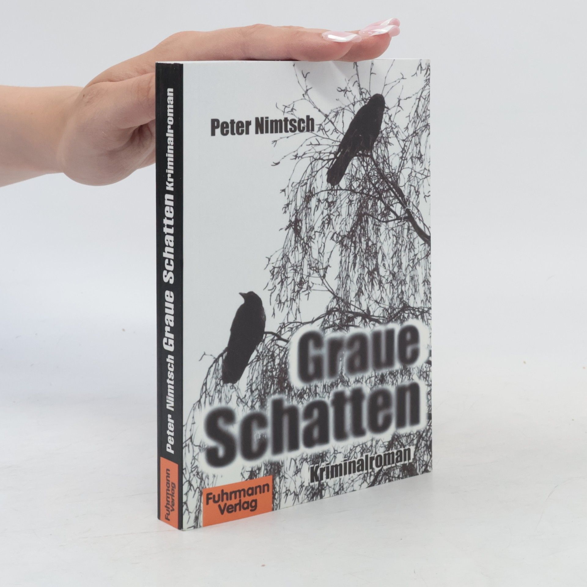 Peter Nimtsch Graue Schatten
