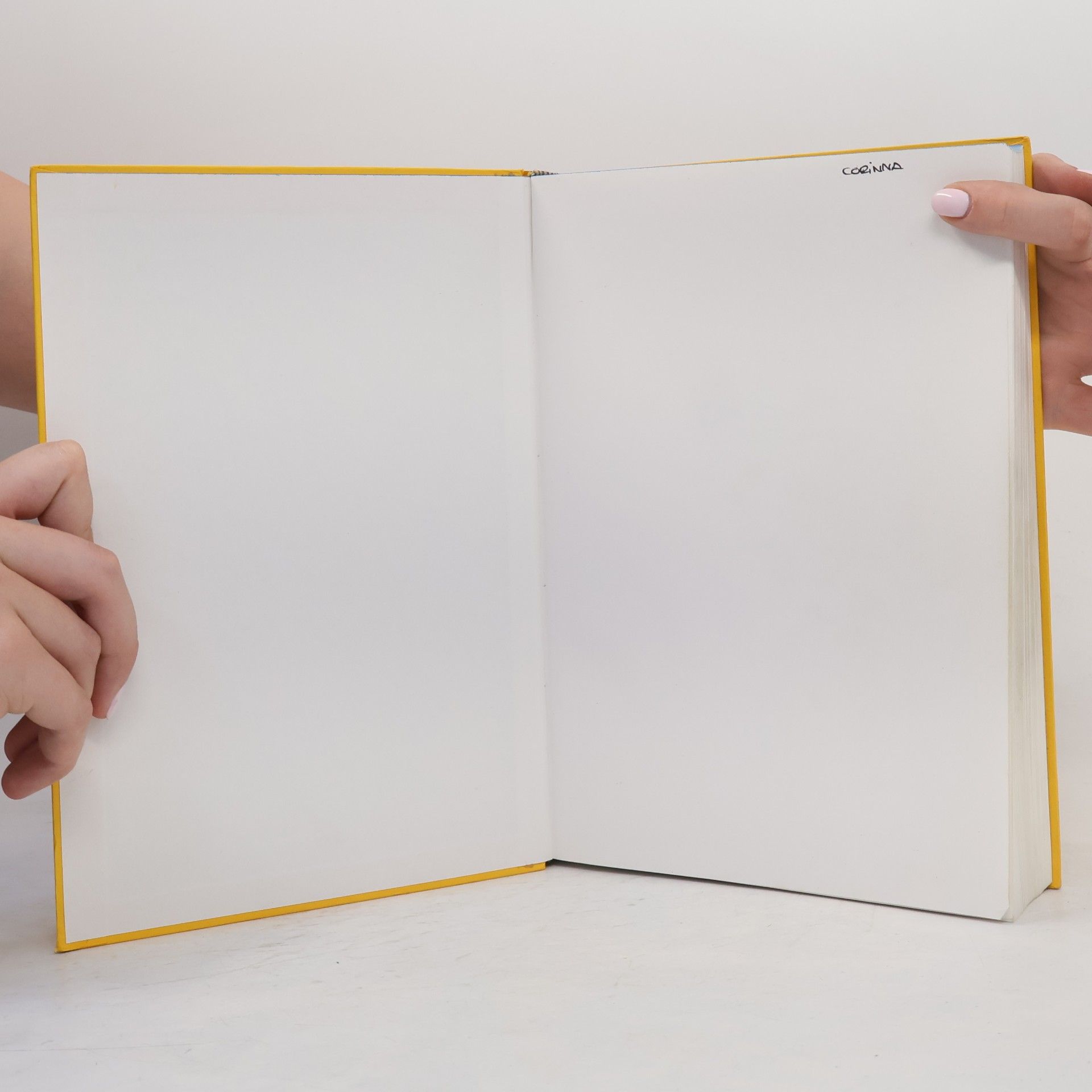 Enrique Alvarez Prada Langenscheidts Handwörterbuch Spanisch