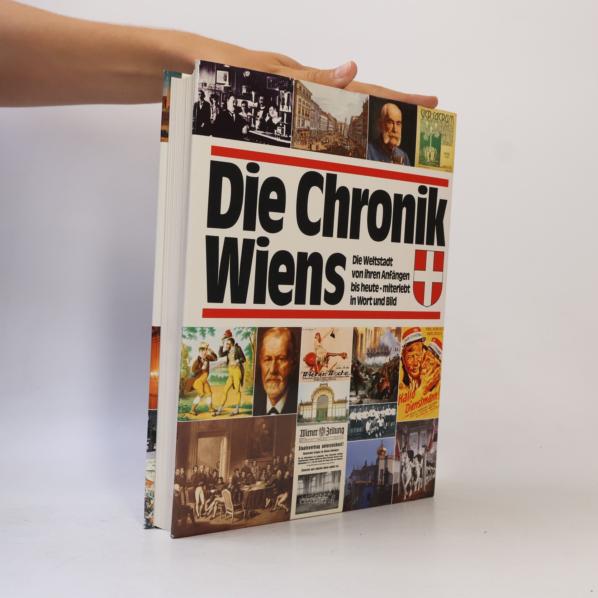 Karl Vocelka Die Chronik Wiens