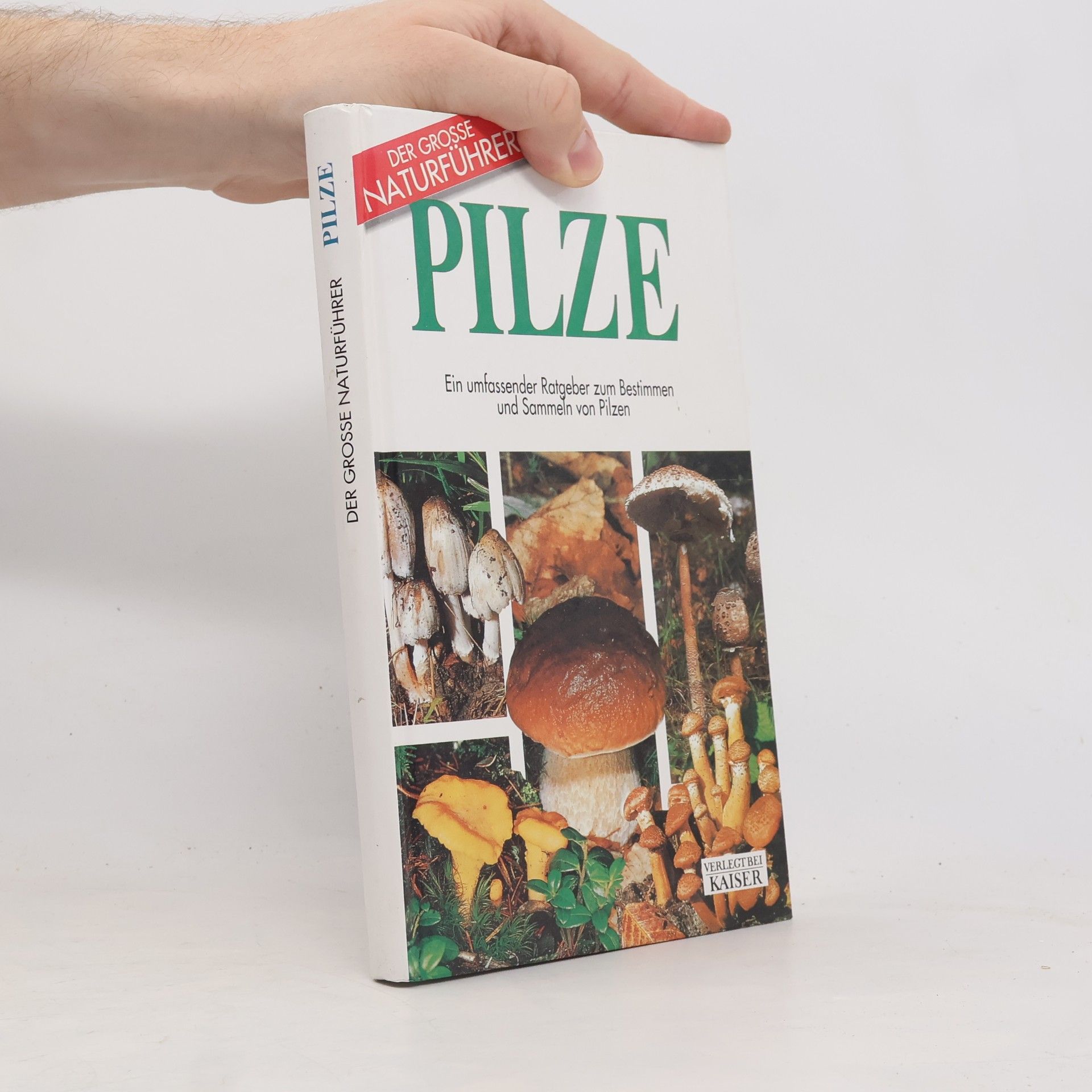 Kolektív autorov Pilze. Ein umfassender Ratgeber zum Bestimmen und Sammeln von Pilzen.