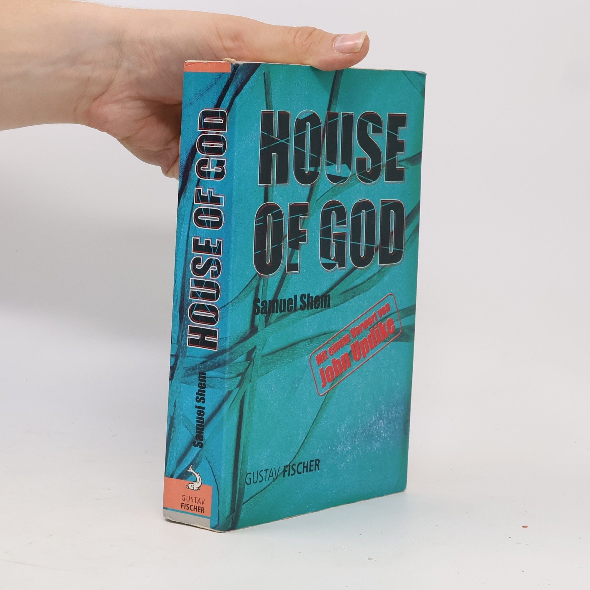 Samuel Shem House of God