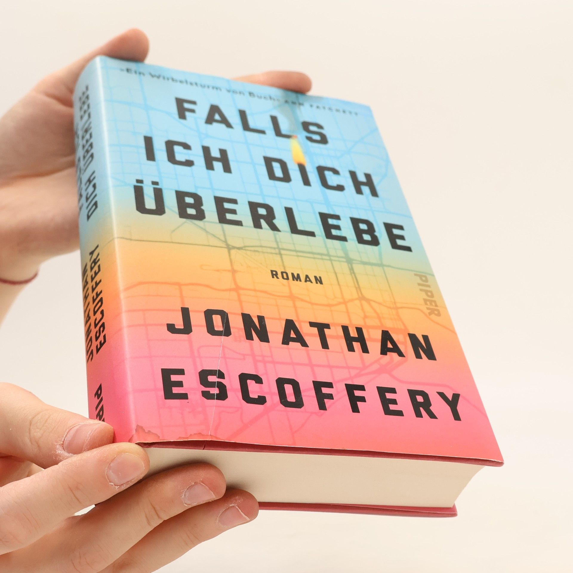 Jonathan Escoffery Falls ich dich überlebe