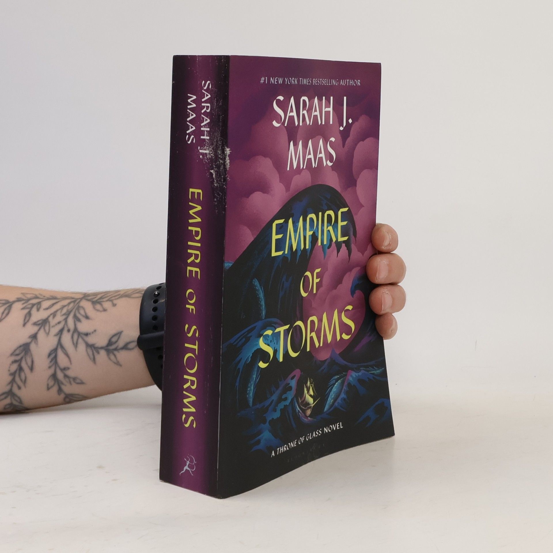 Sarah J. Maasová Empire of Storms